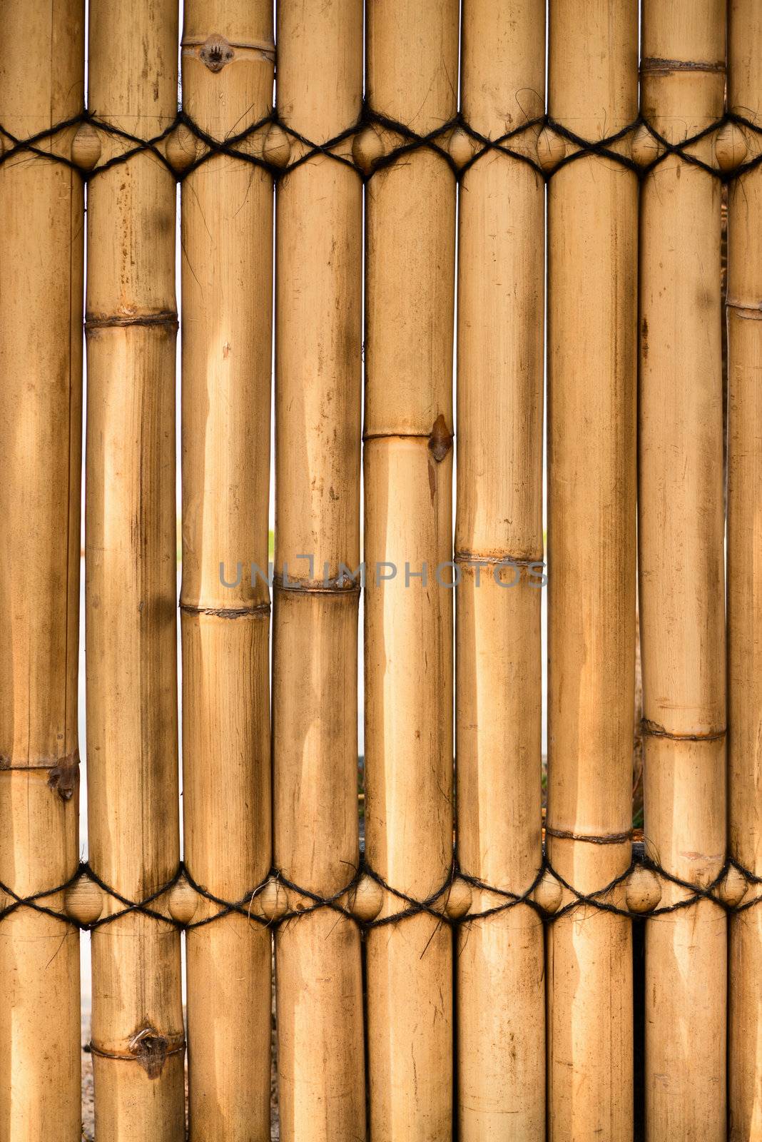 Natural bamboo fence with chinks fixed by rope