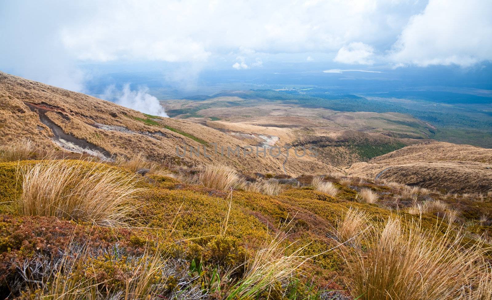 Public track at Tongariro National Park, New Zealand