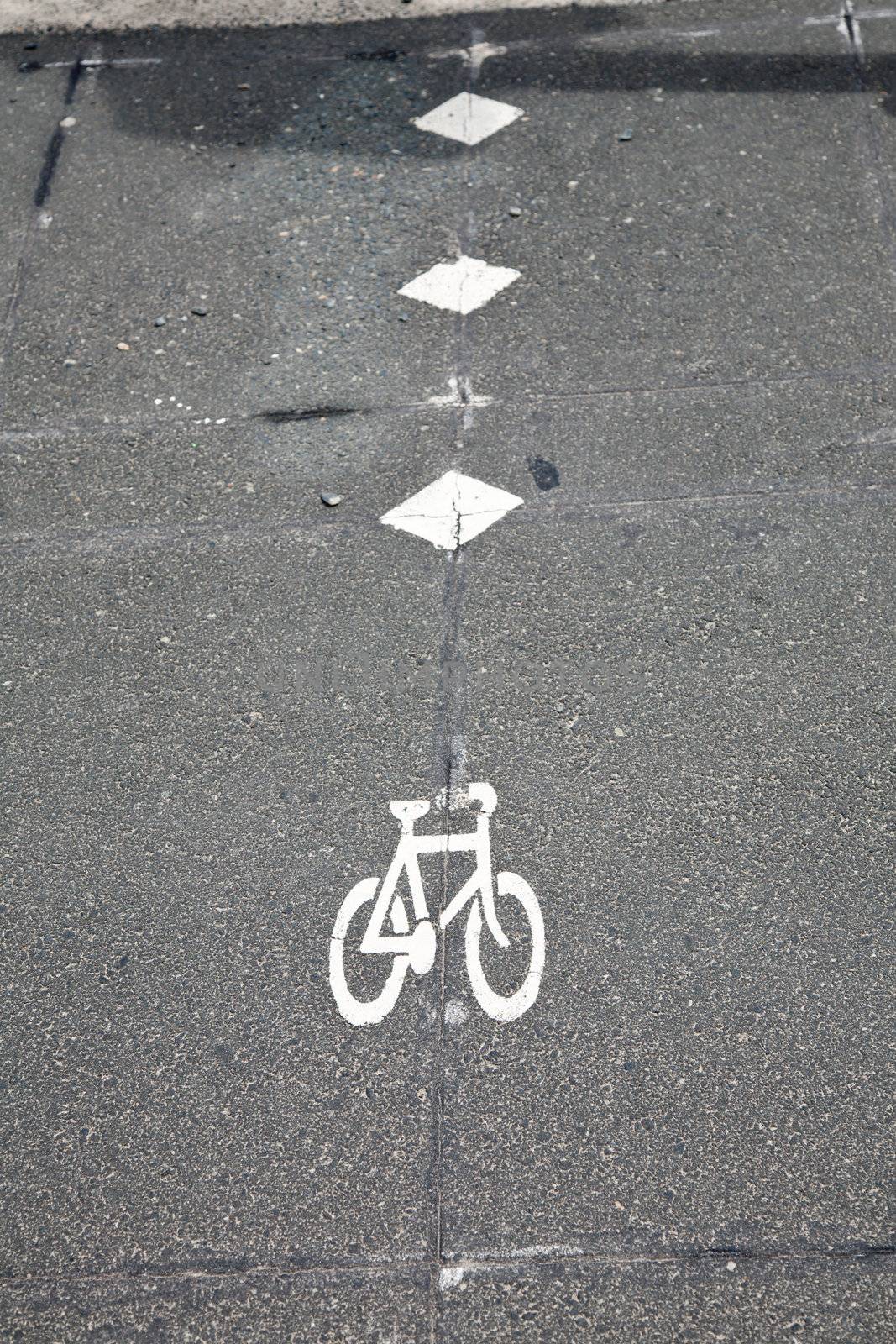 Bicycle lane by naumoid