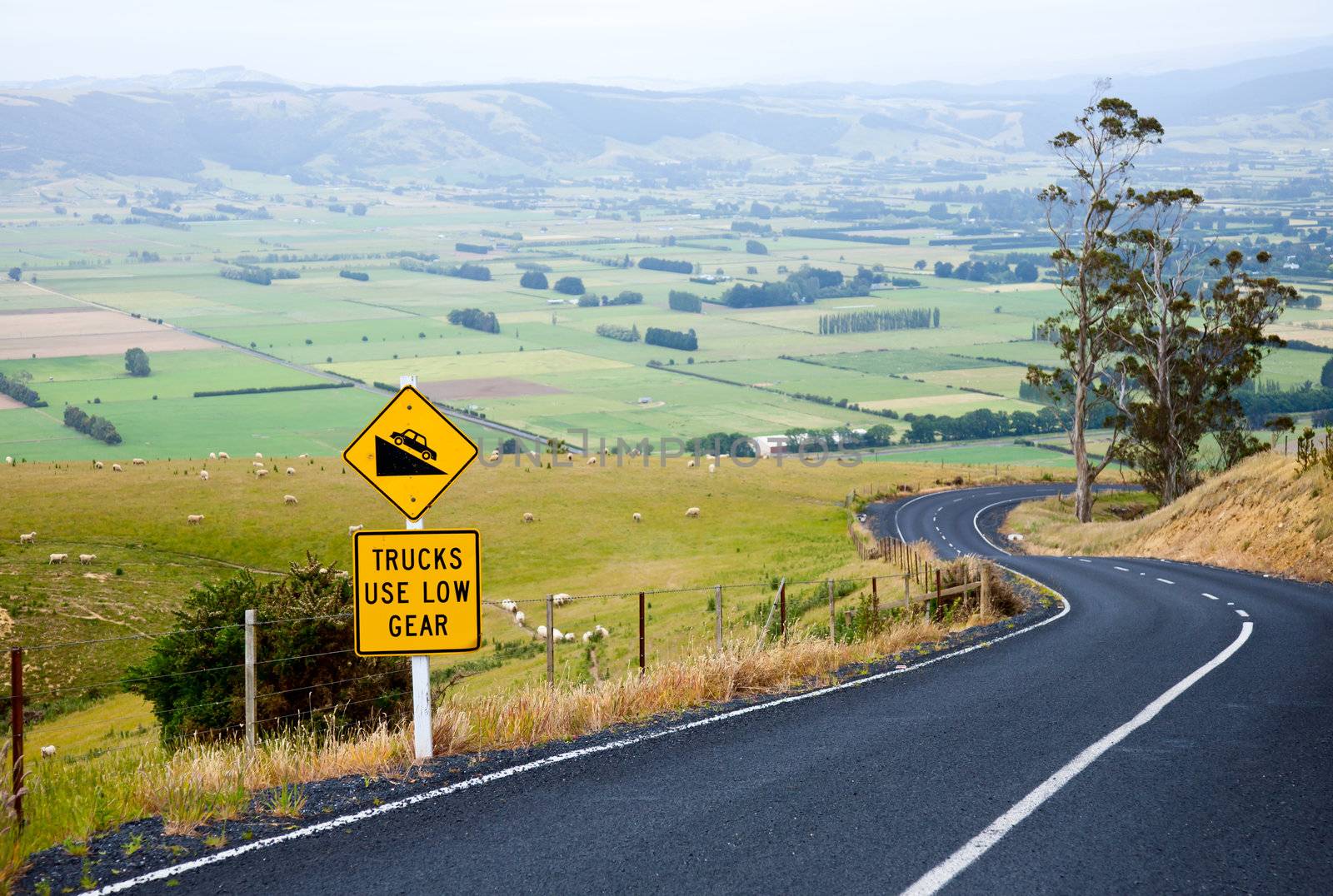 Scenic winding road with road sign in New Zealand