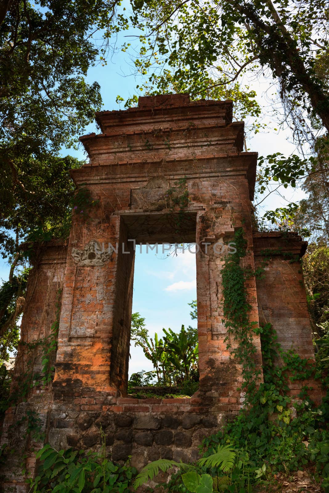 Old ruined doorway in a forest by iryna_rasko