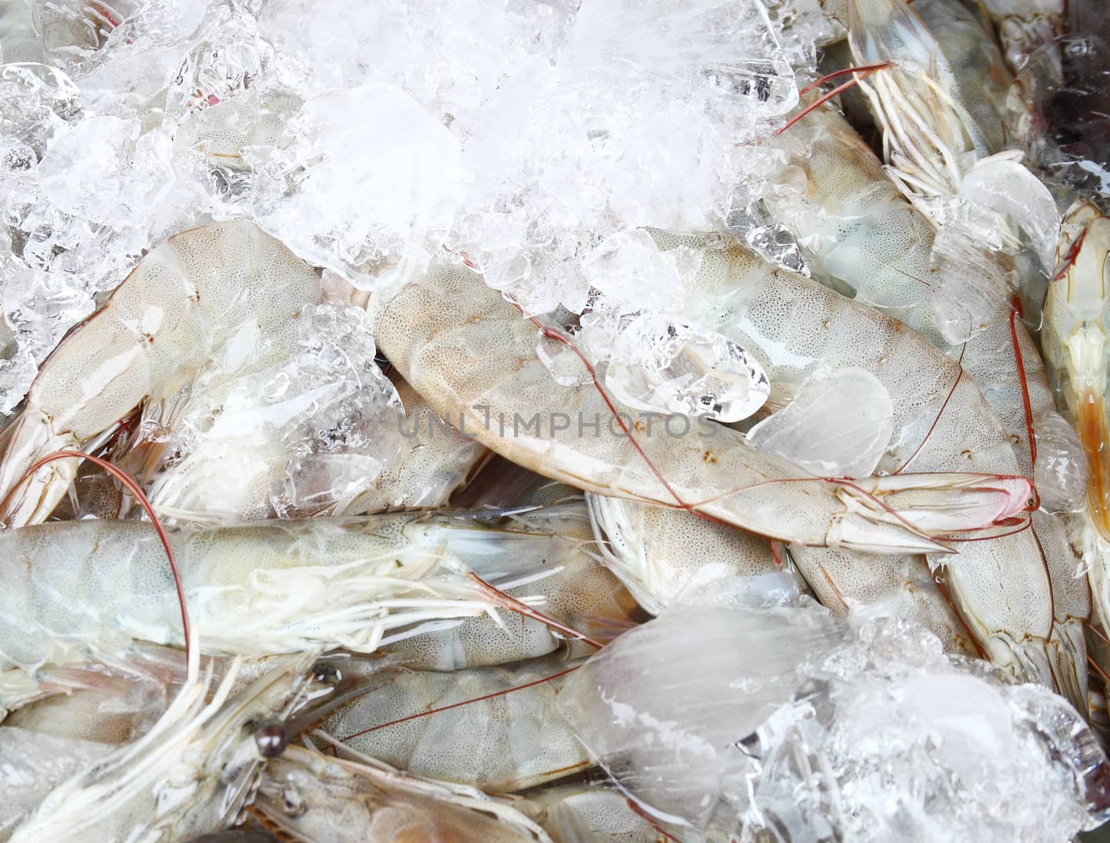 Fresh shrimps in ice on the market