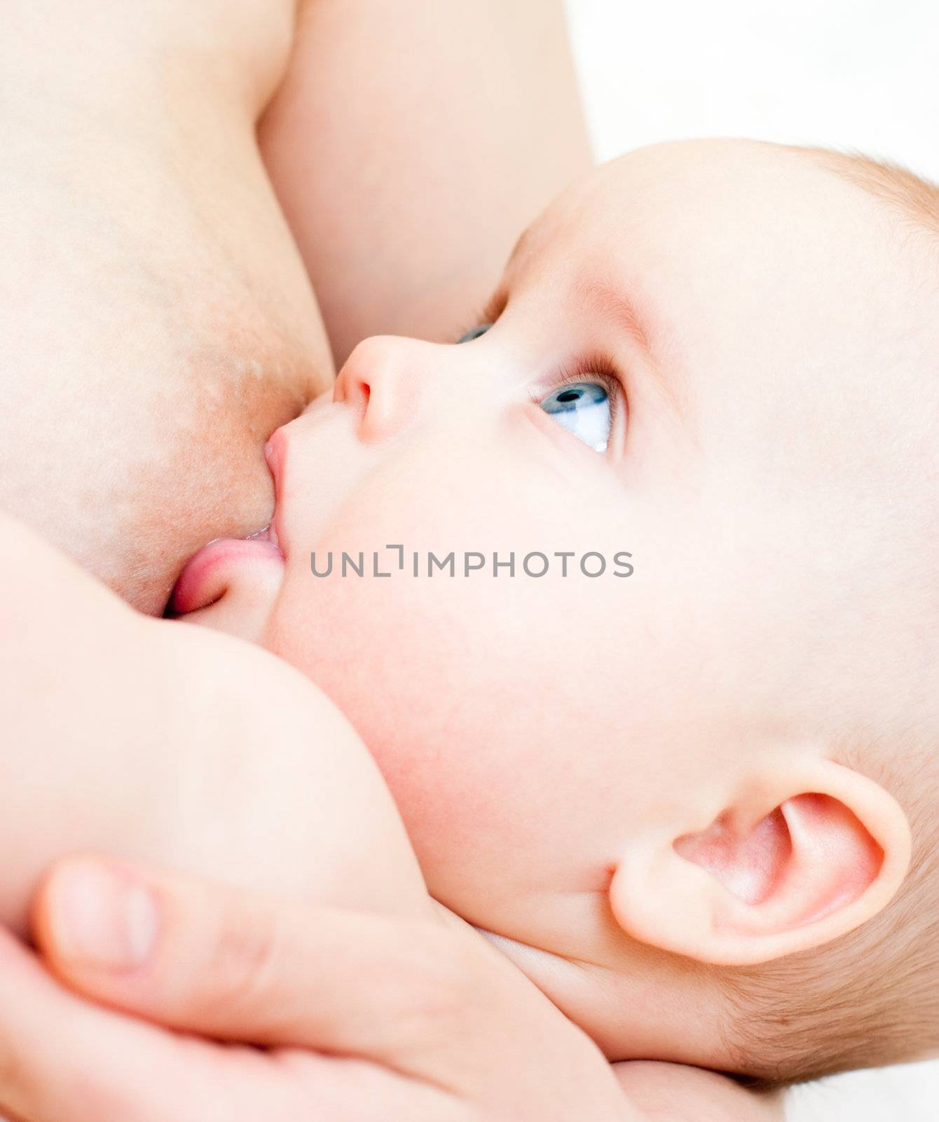 Breastfeeding by naumoid