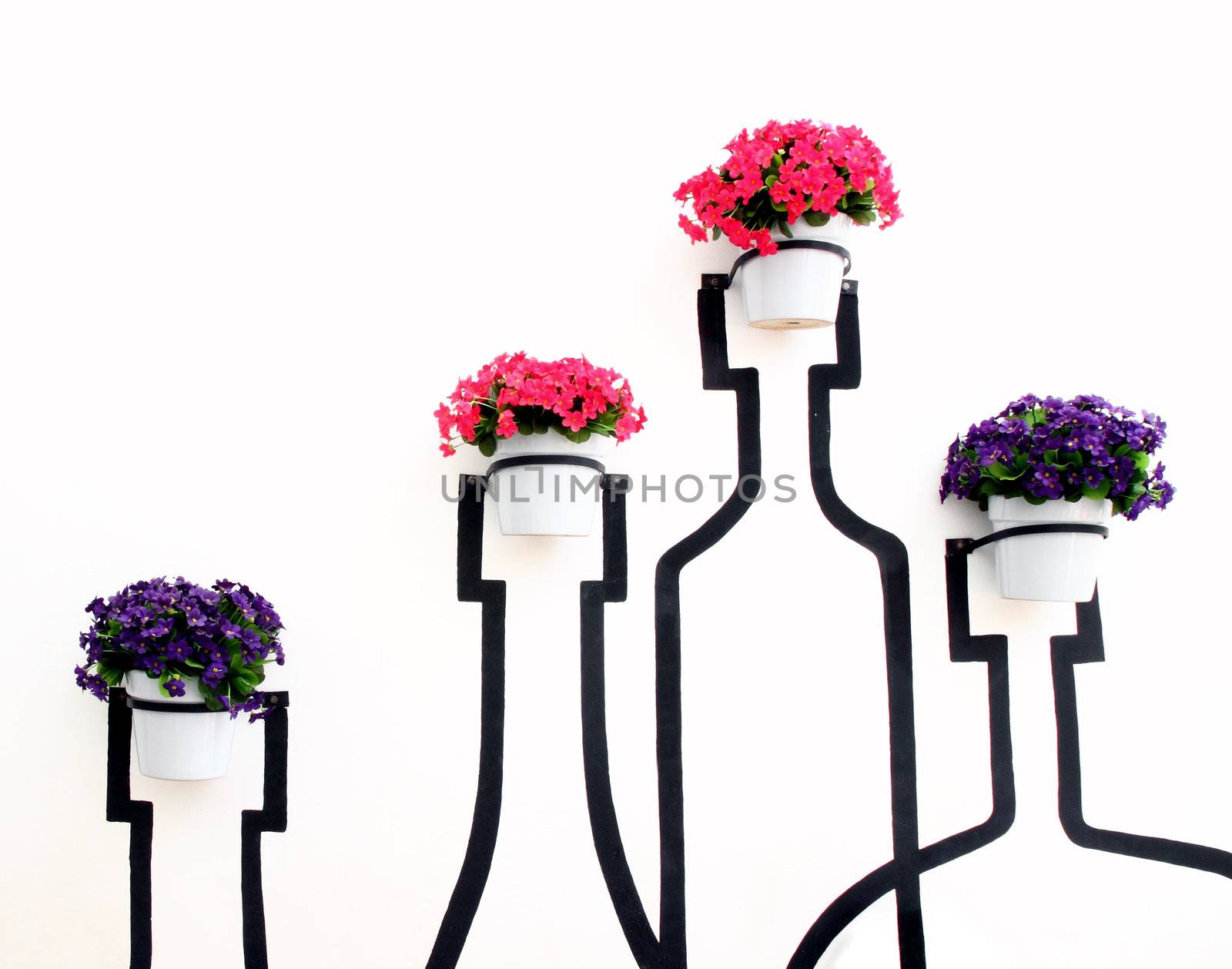 flower decoration in flowerpot on white wall