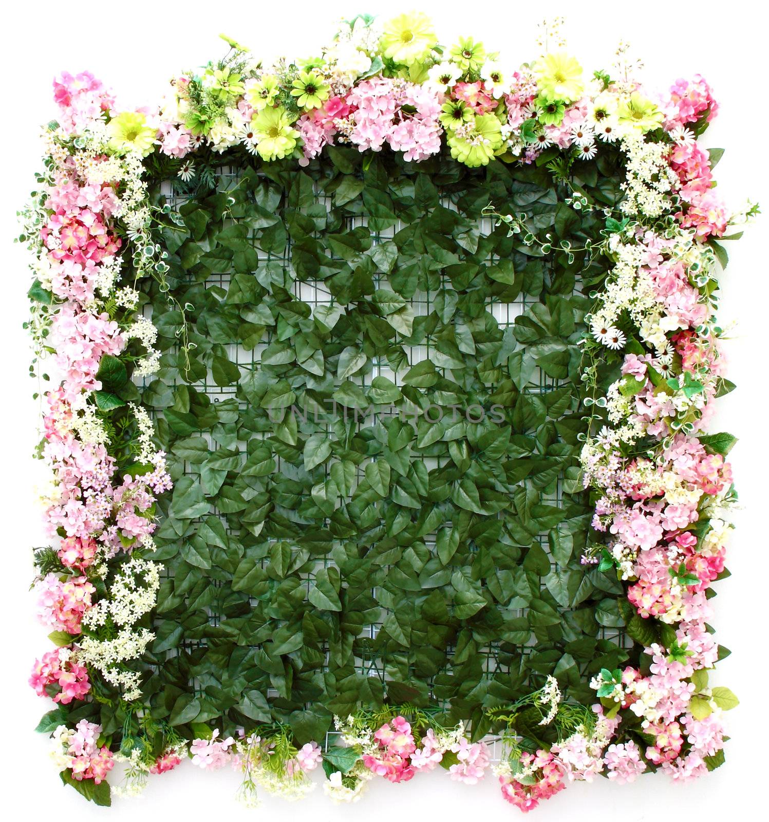 flower decoration texture  on white wall background