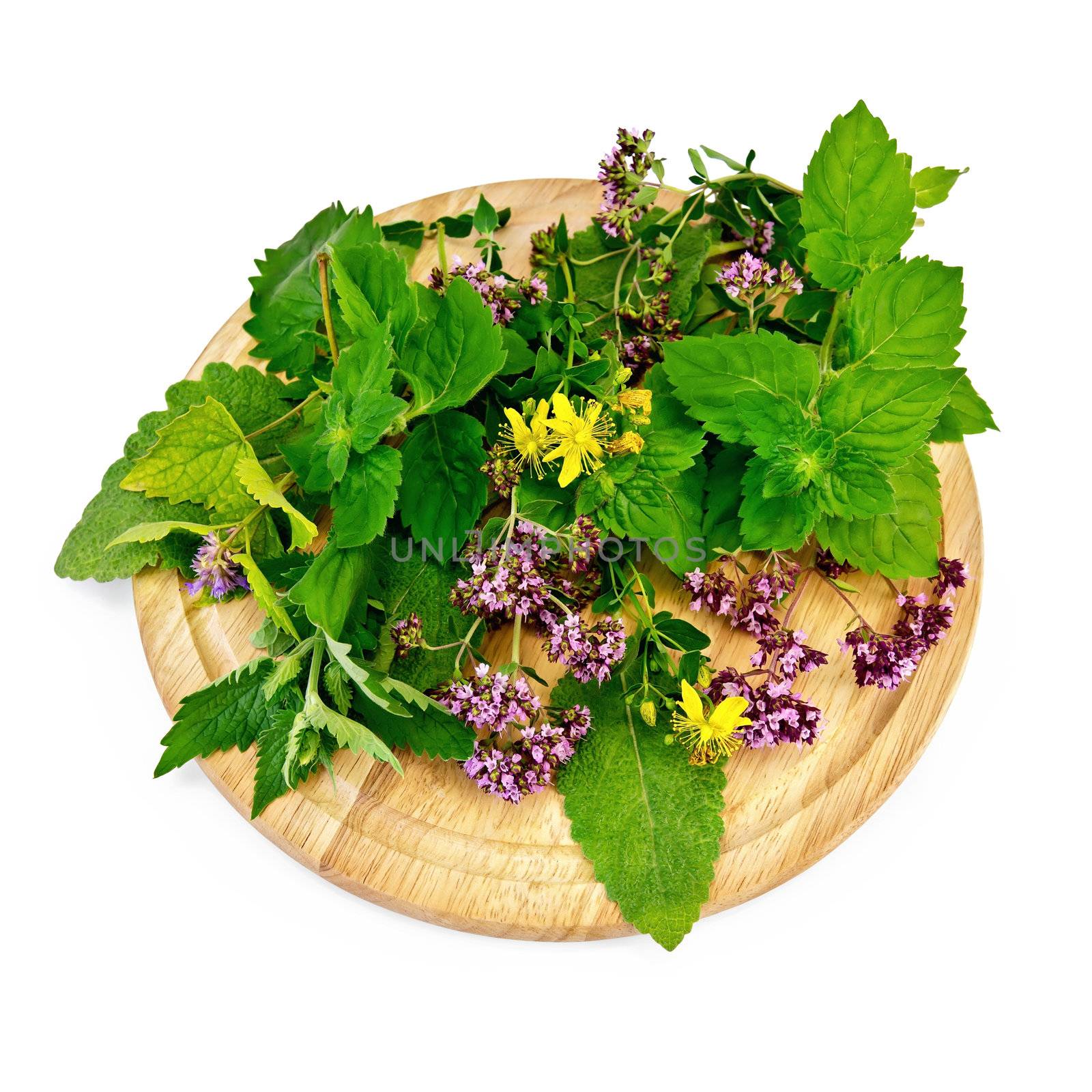 Sprigs of mint, lemon balm, oregano, tutsan, sage leaves on a round wooden board isolated on white background