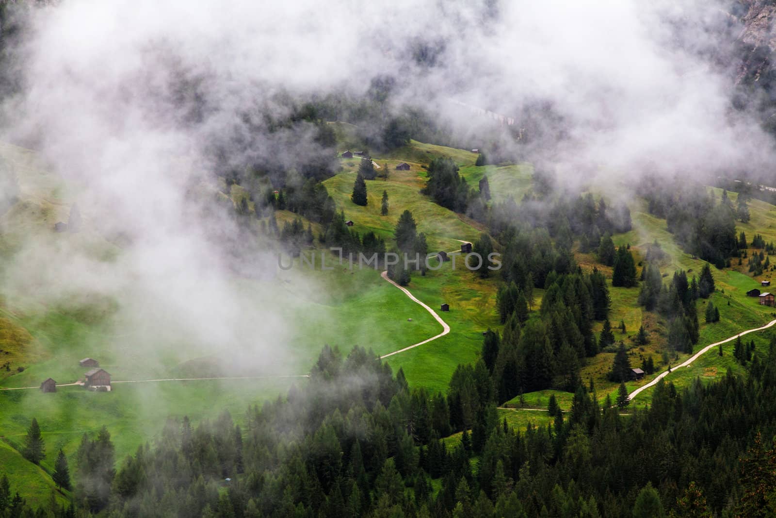 high mountain landscape, green grass