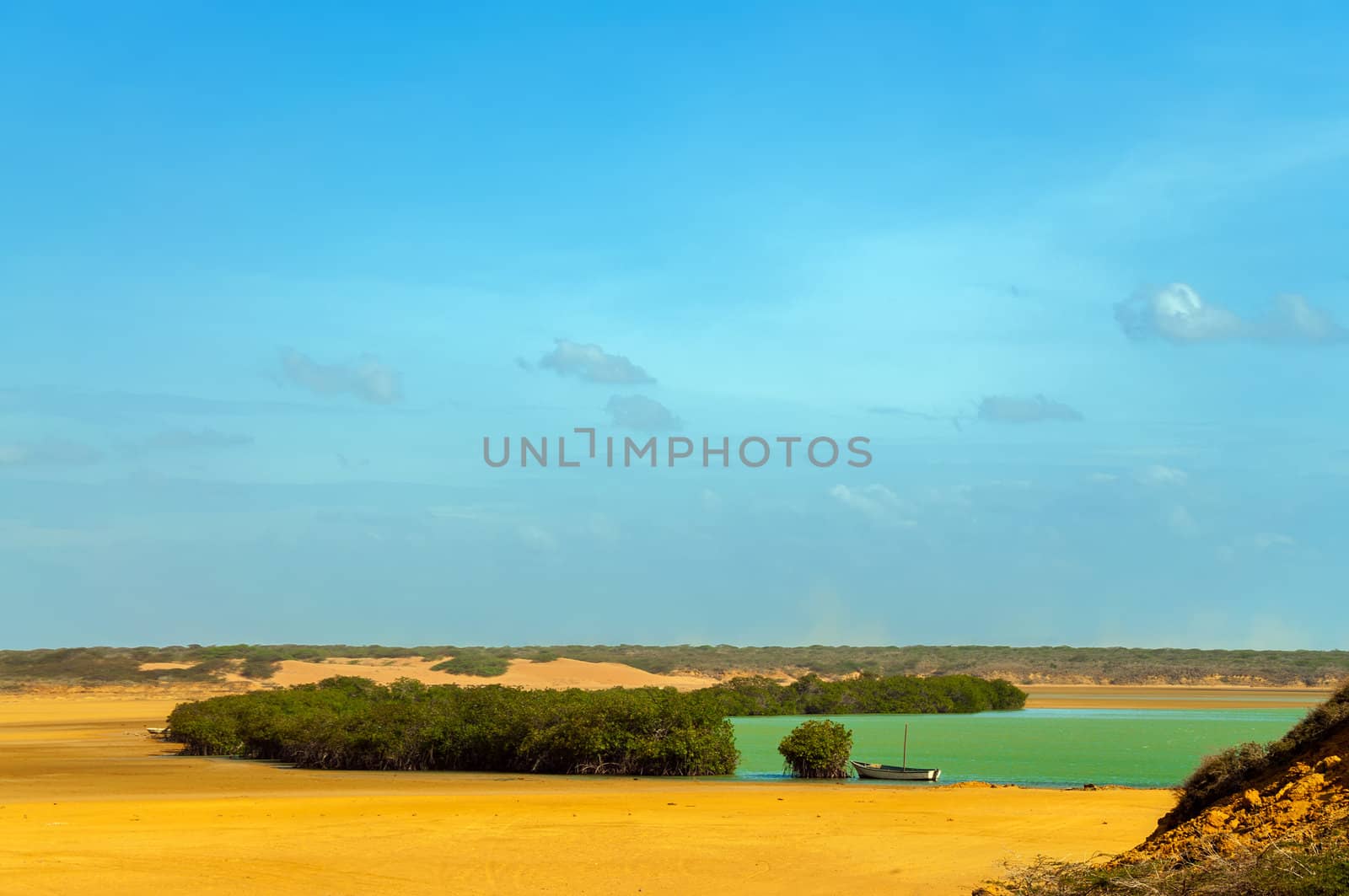 A green bay in a desert with a boat