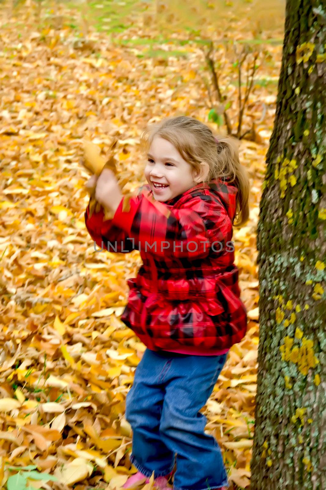 Little girl playing with leaves on a background of trees and yellow leaves