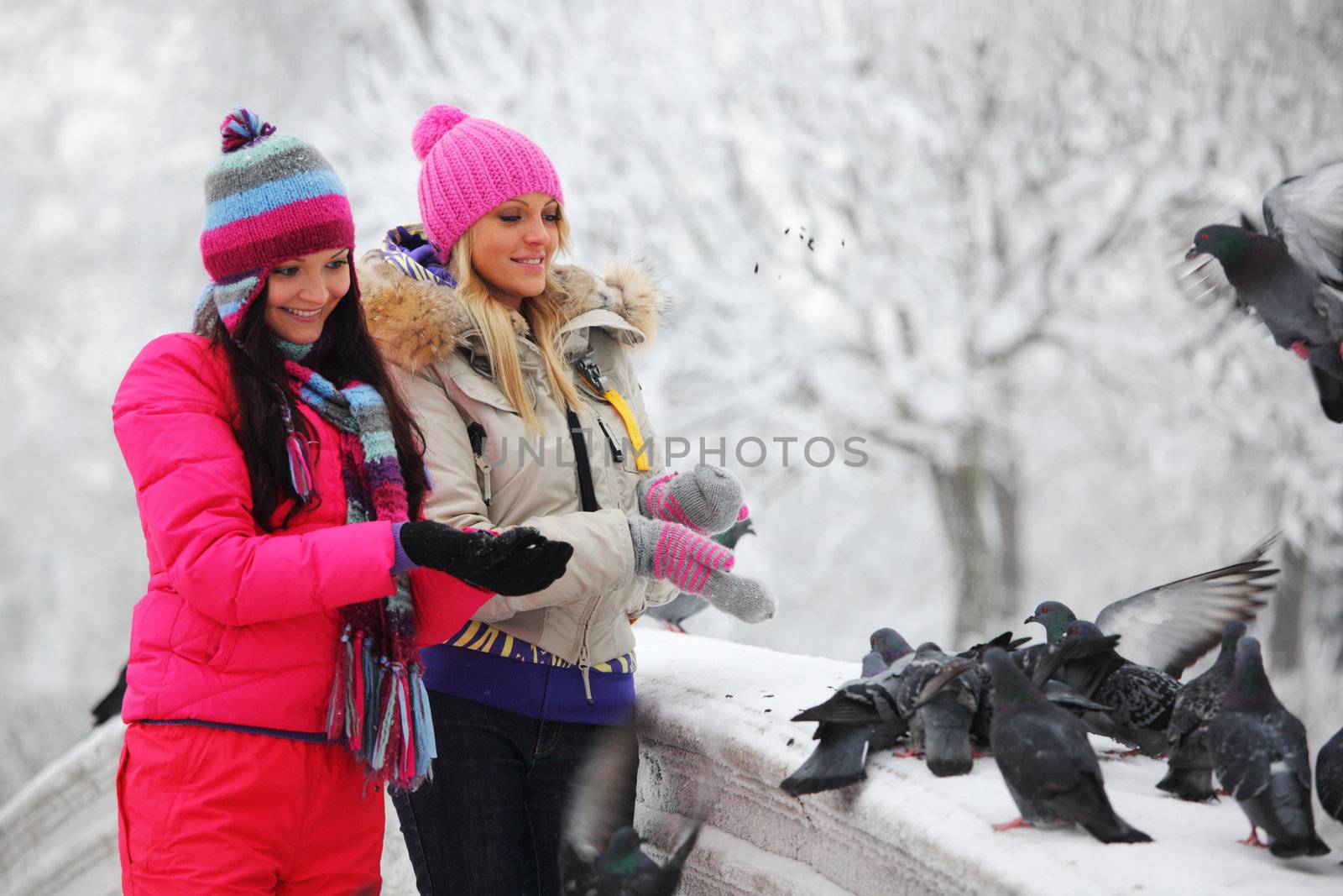 winter women give food to the pigeon