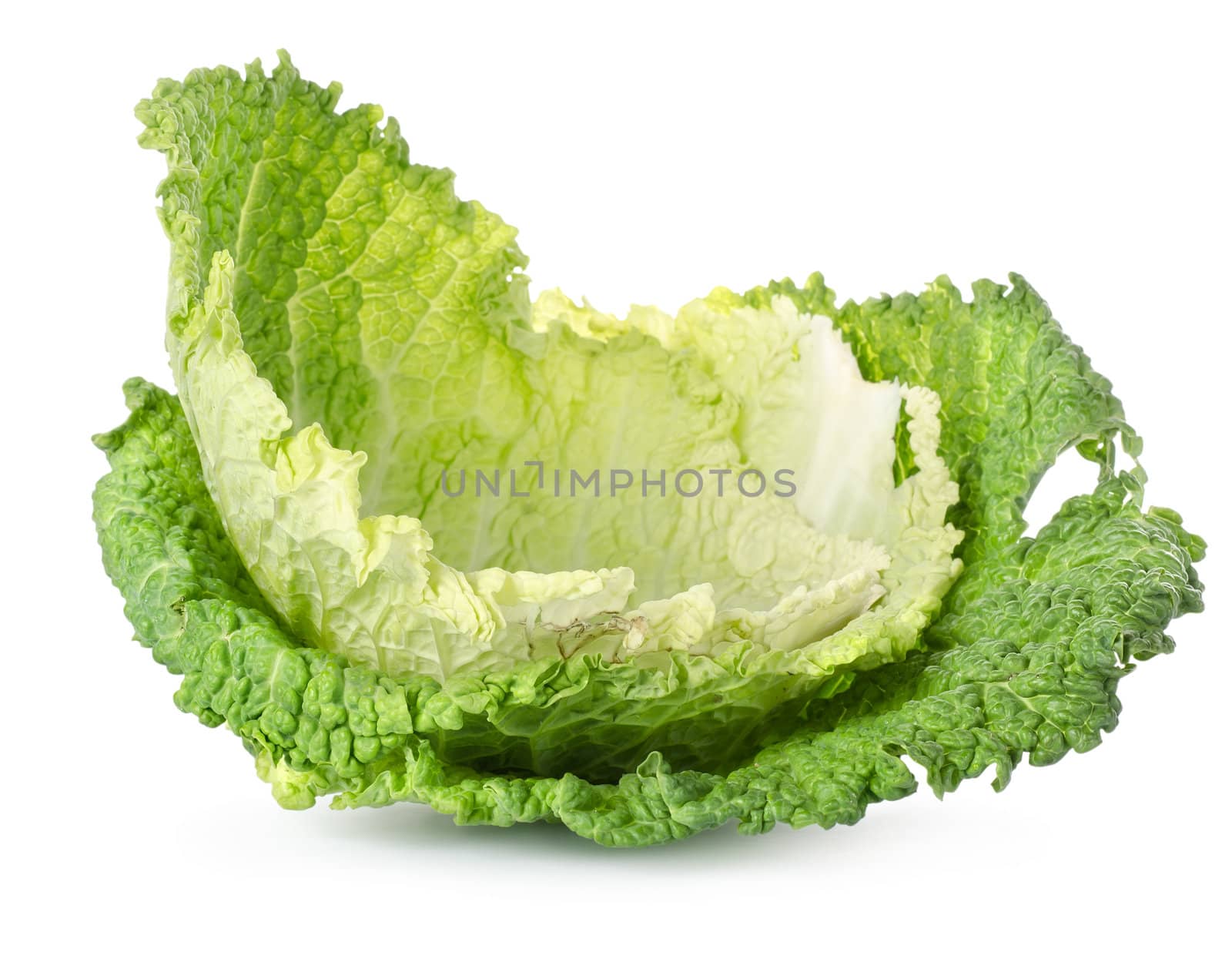 Cabbage leaves isolated on a white background