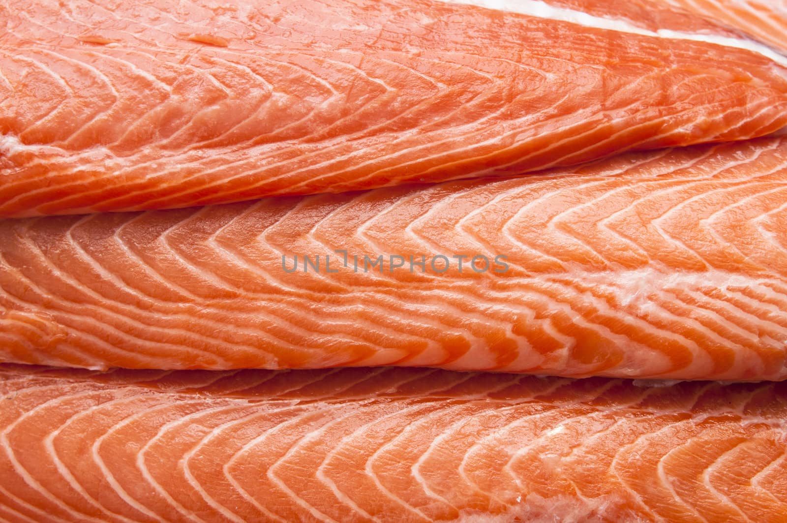 Fresh salmon fillet fish meat