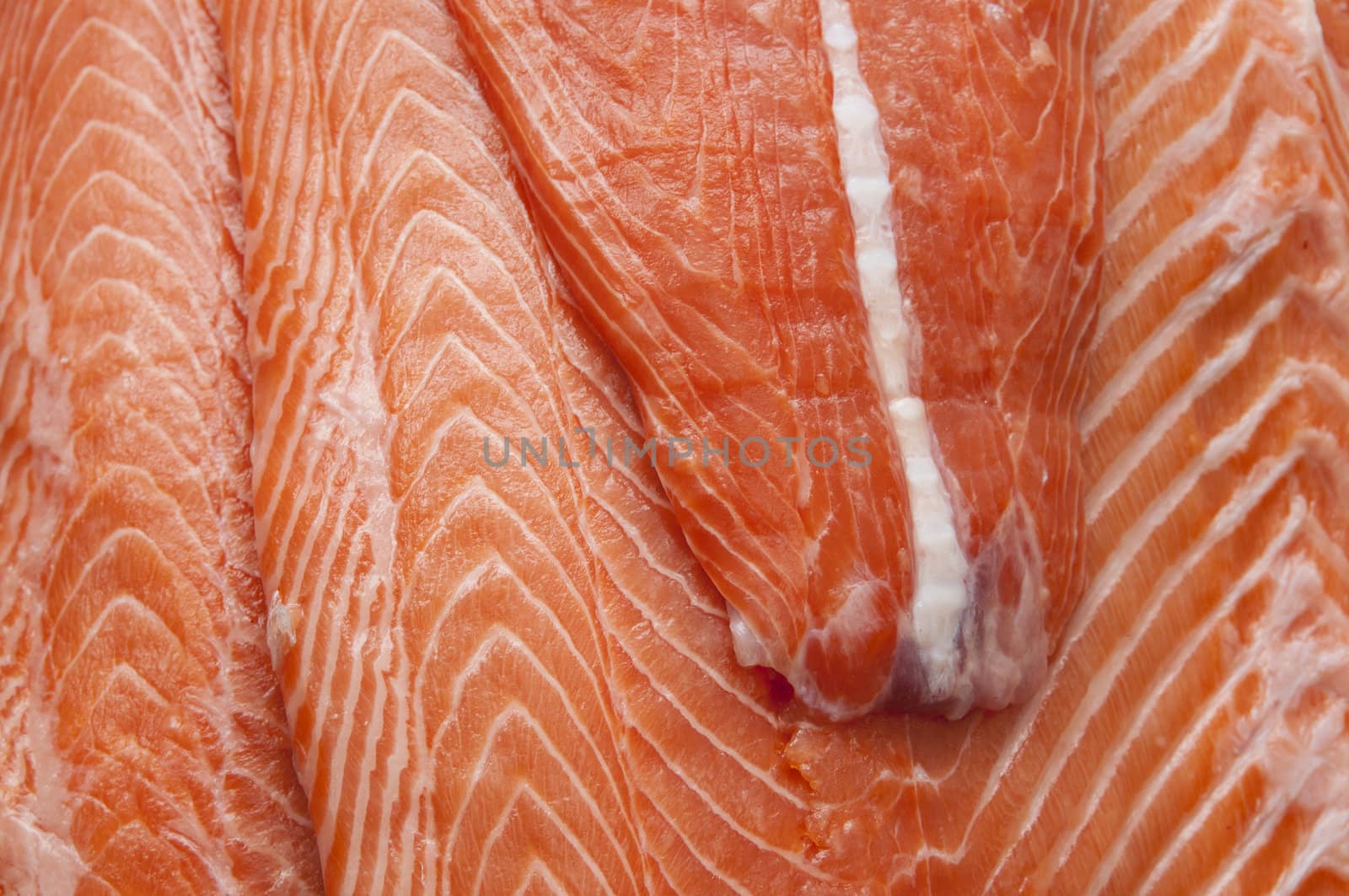 salmon by Lester120