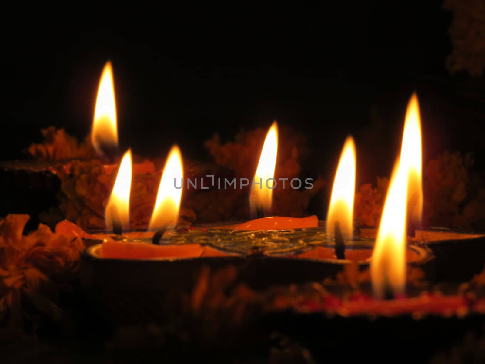 Holy lamps lit along with marigold flowers in a Hindu temple for a traditional ritual.