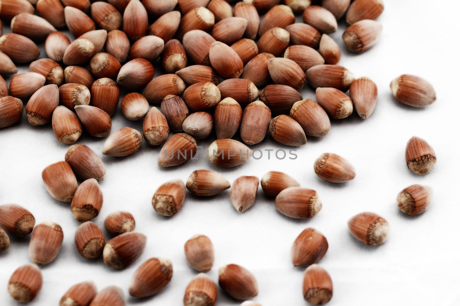 Tasty hazelnuts, close up by Nneirda