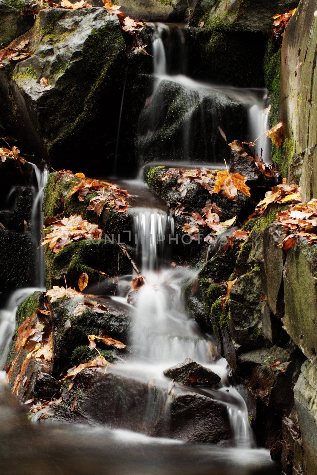 Waterfall in the autumn