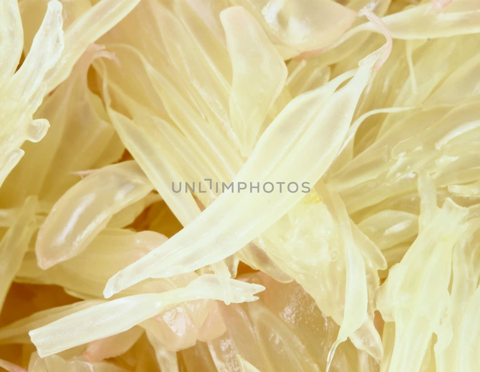 Close up slices of pomelo