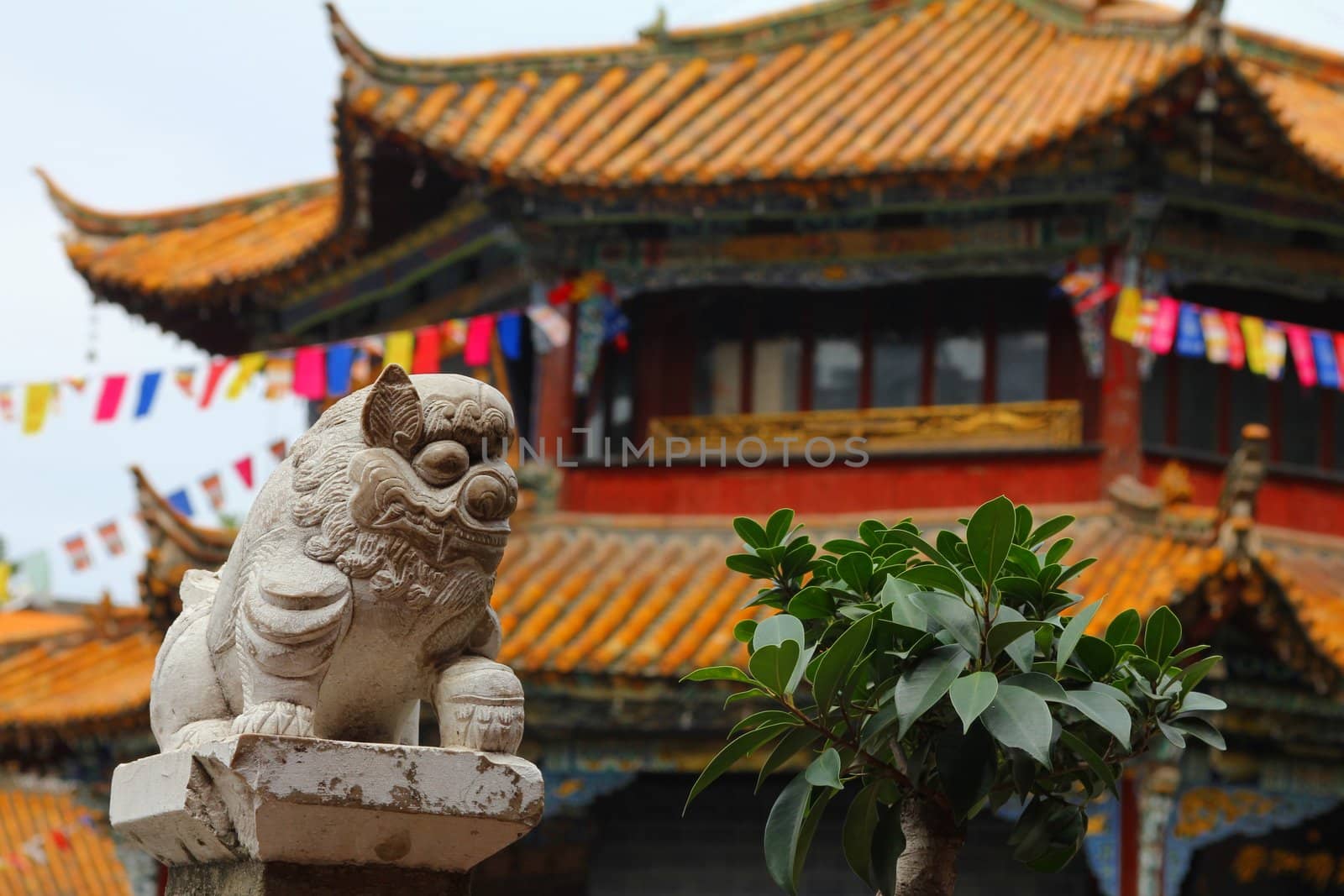 Feng shui lion in Yuantong temple, the biggest and most important Buddhist temple in Yunnan Province, China
