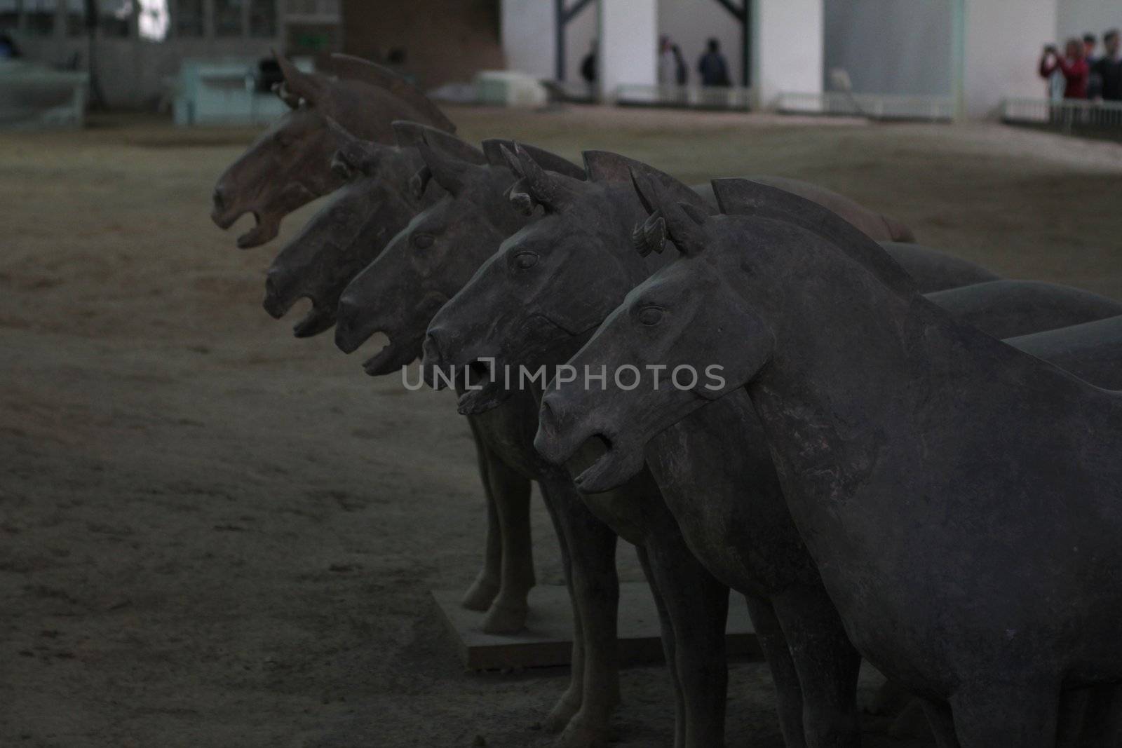 Horses of Terracotta Army, in Mausoleum of the First Qin Emperor, an UNESCO world heritage site, in Xian, China
