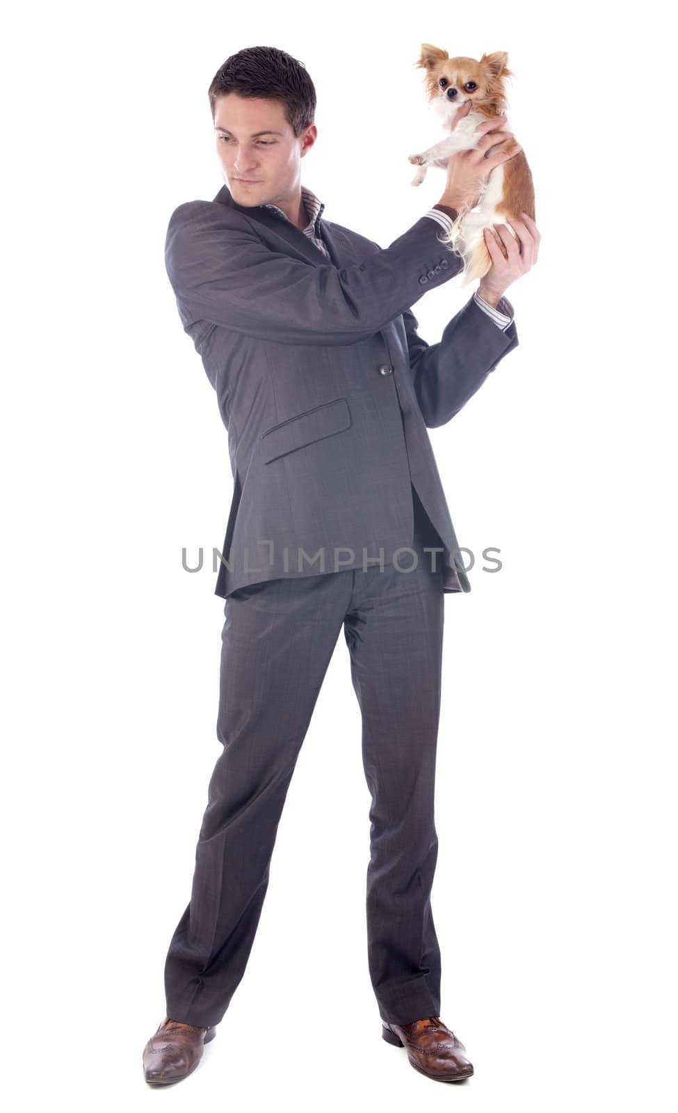 young business man and chihuahua in front of white background