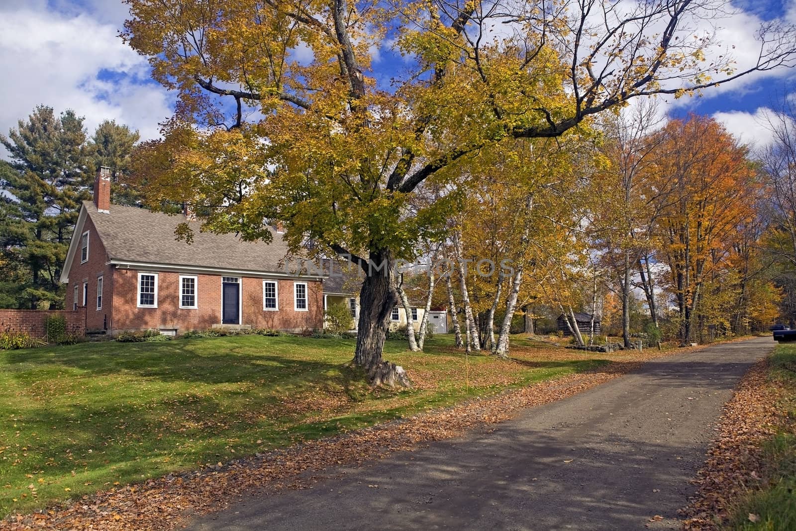 New Hampshire, USA Autumn scenic of a red brick cape style home along a dirt country road with beautiful red, yellow, orange and gold colored foliage White Birch and Maple tree leaves.
