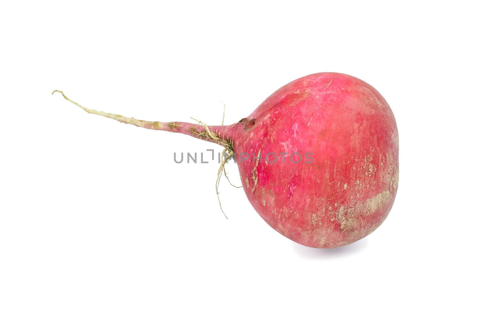 One large radish on a white background by NickNick