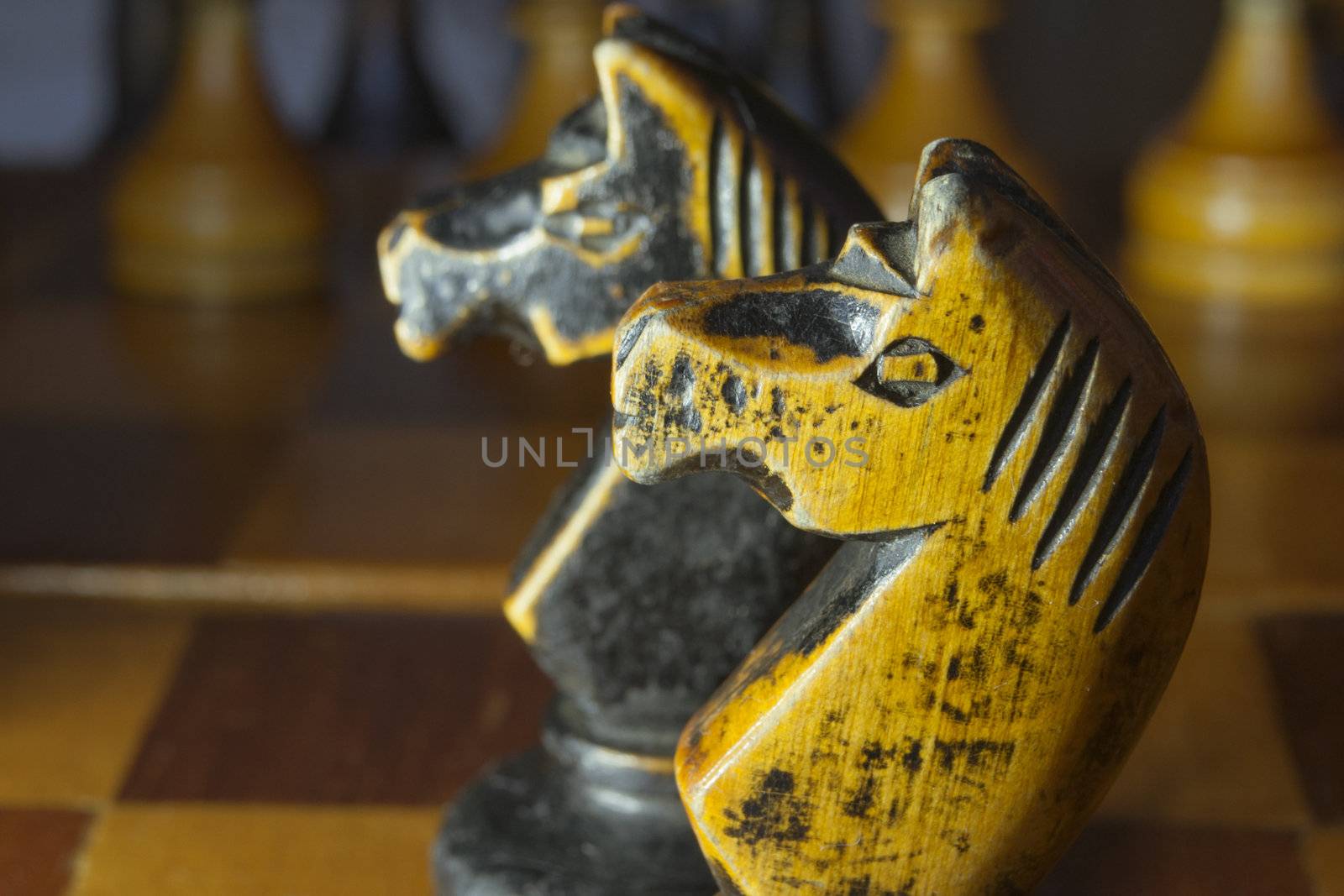 vintage chess knights closeup; focus on front knight