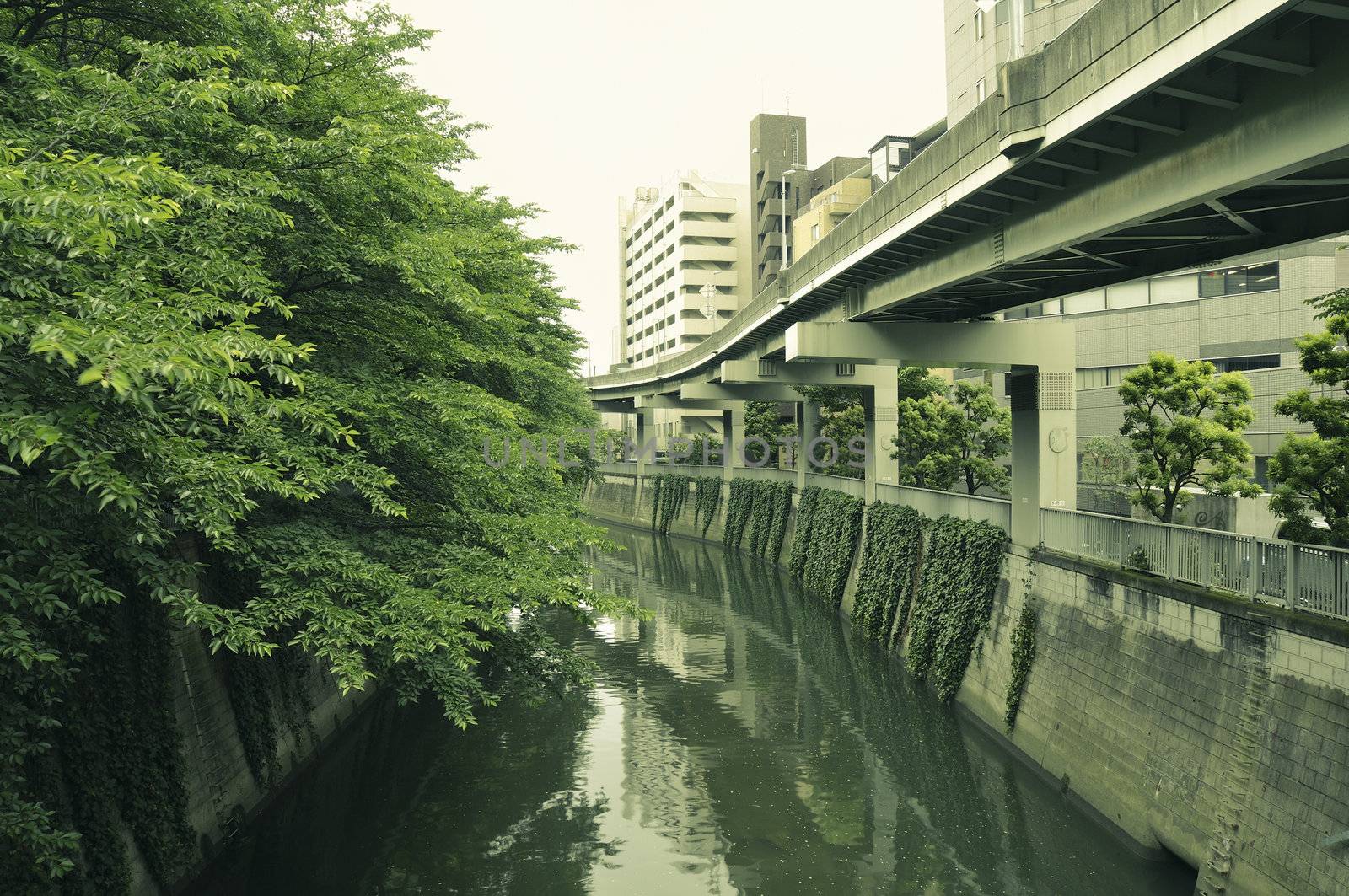 Edogawa river with green trees on one side and hanged highway on another side inside Tokyo Metropolis