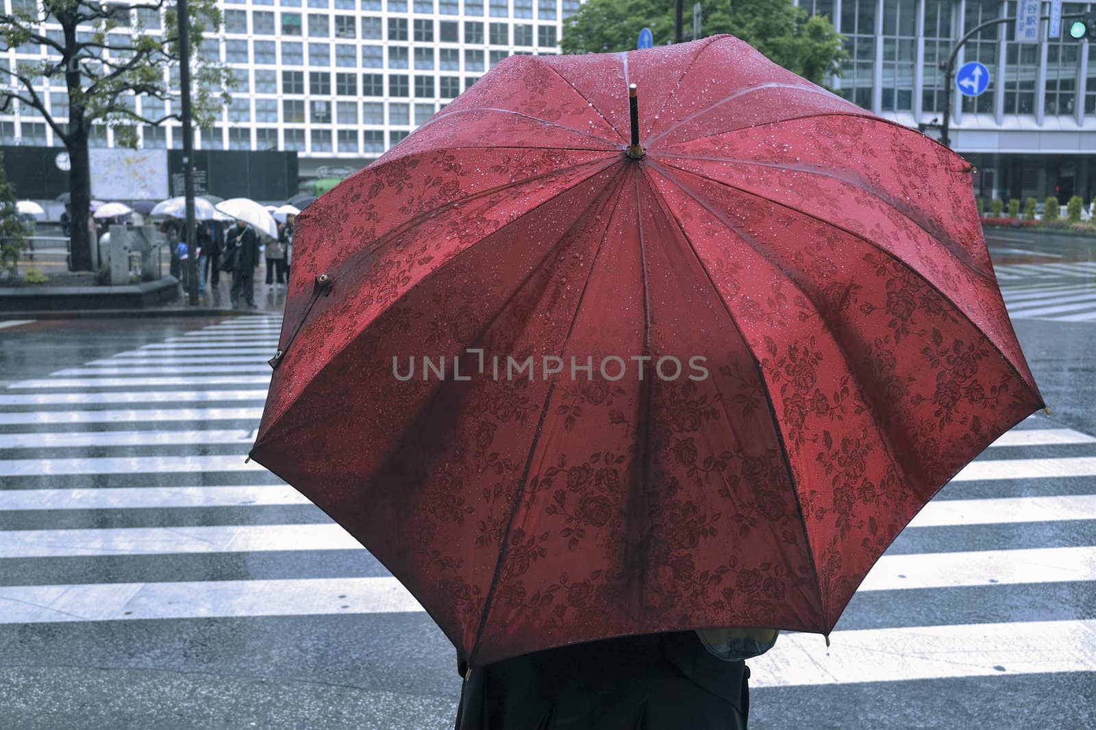 woman with red umbrella waiting for zebra crossing in Tokyo, focus on umbrella