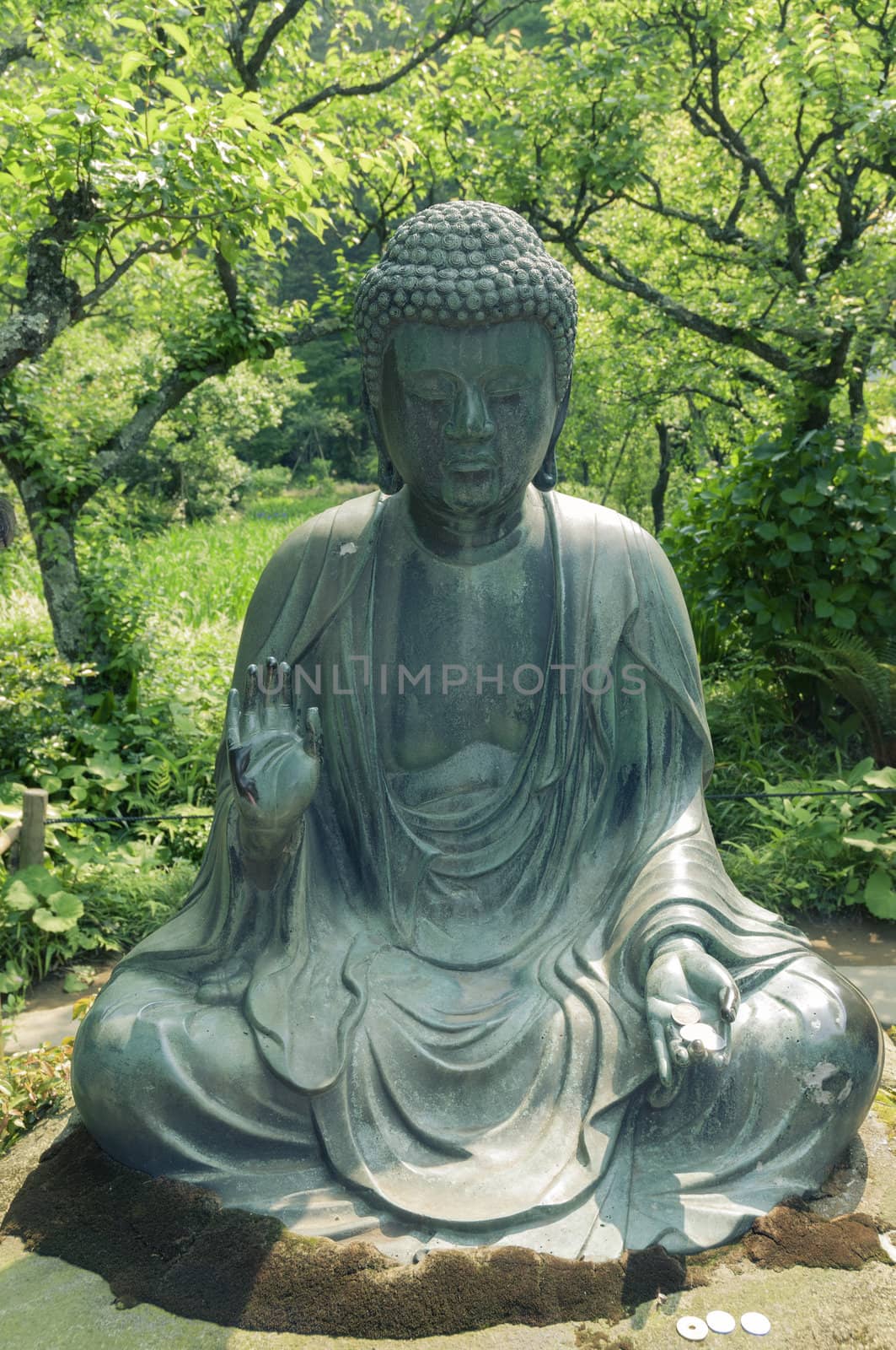 japanese Buddha statue in zen garden environment in Kamakura, Japan; focus on statue
