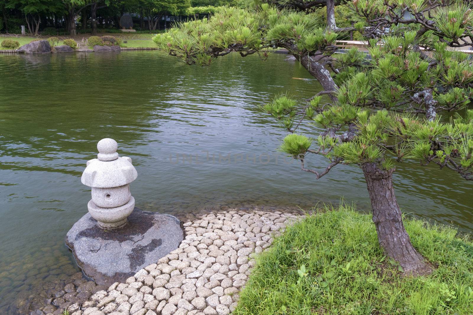 zen landscape with pine tree and stone lantern