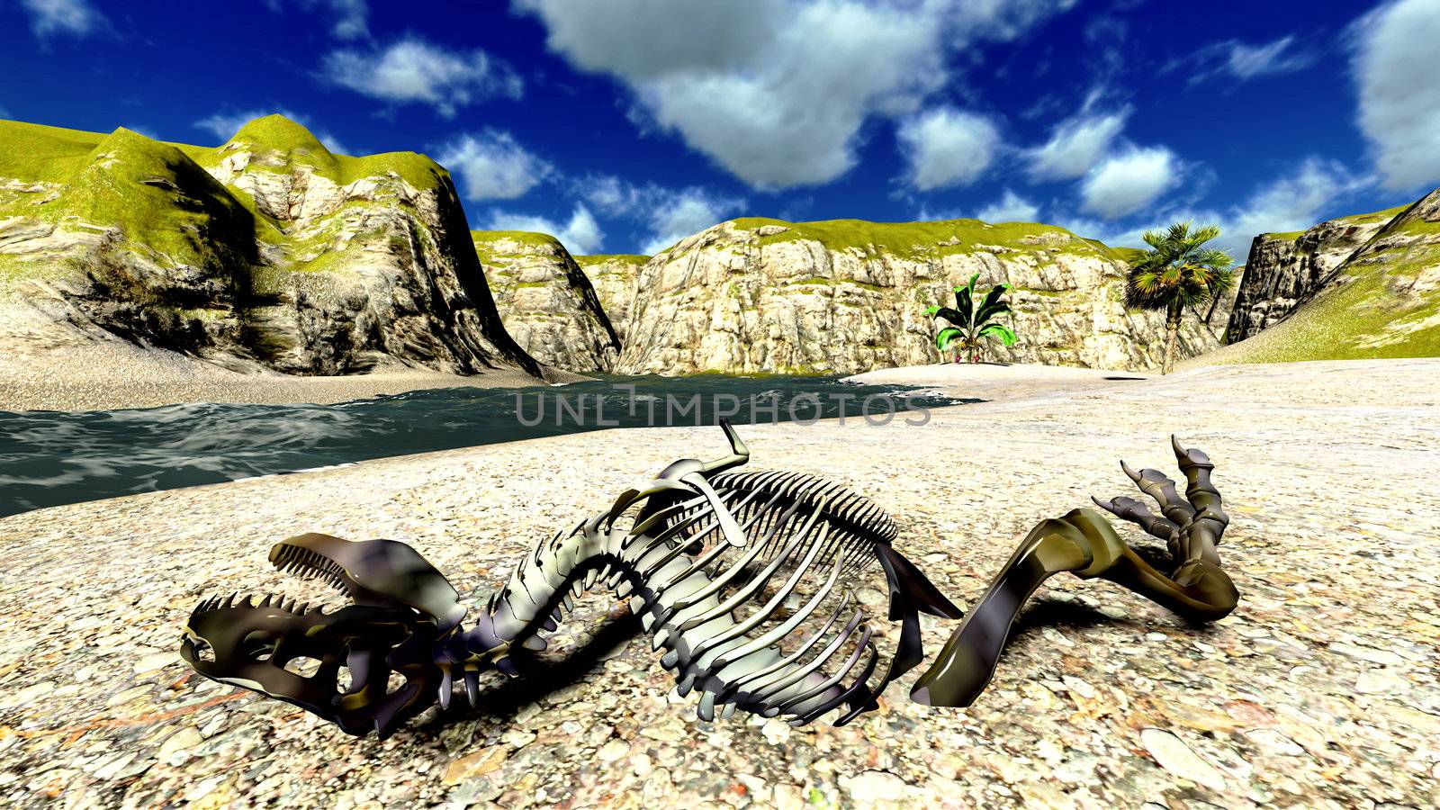 Dinosaur bones on the beach