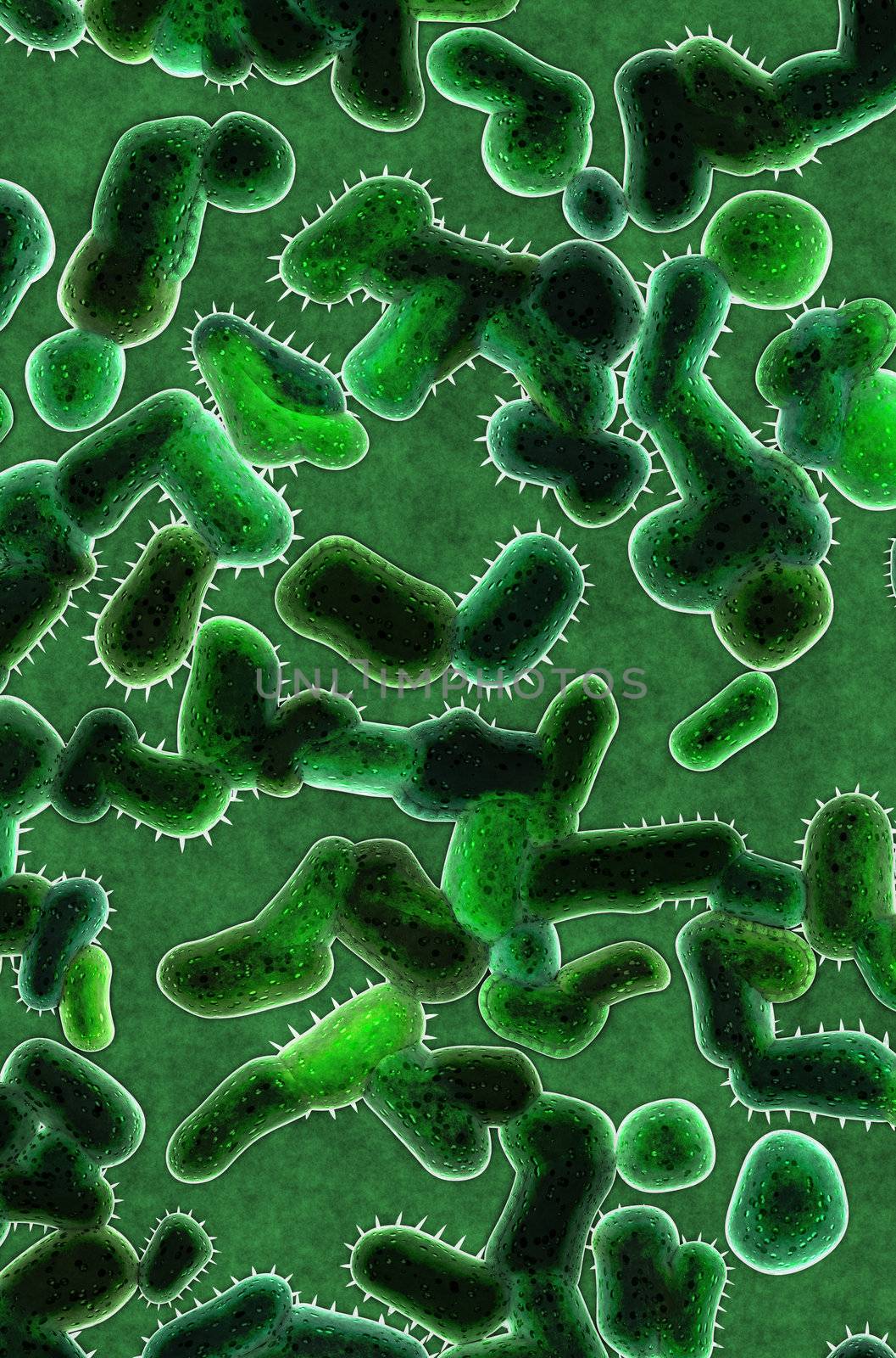 Colony of dangerous bacteria