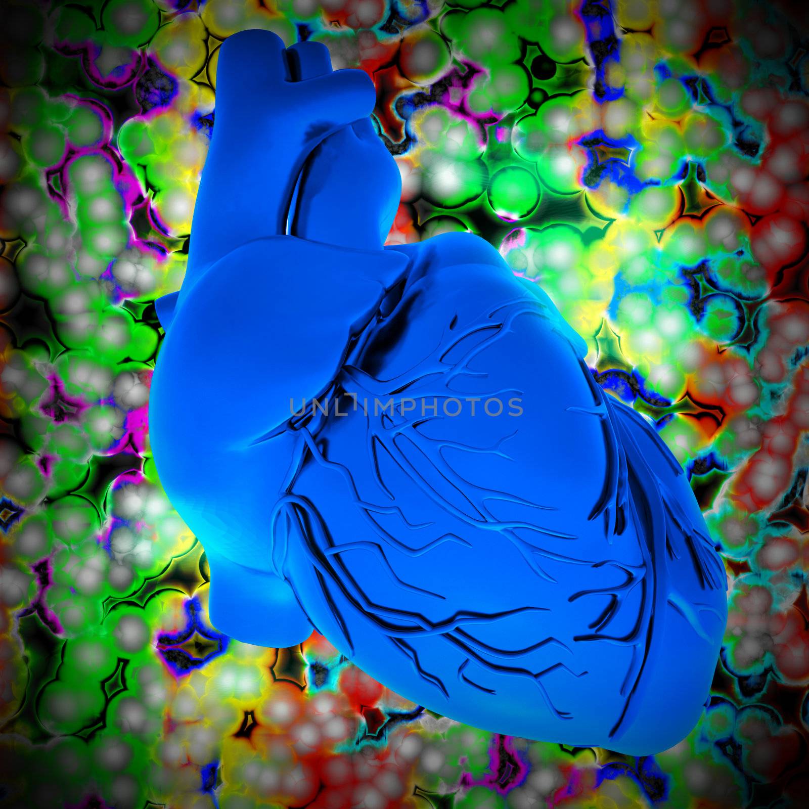 Model of human heart by andromeda13