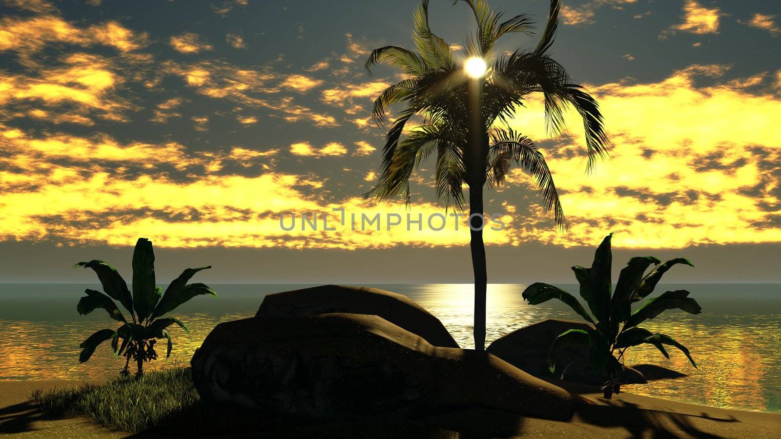 Hawaiian sunset in tropical paradise