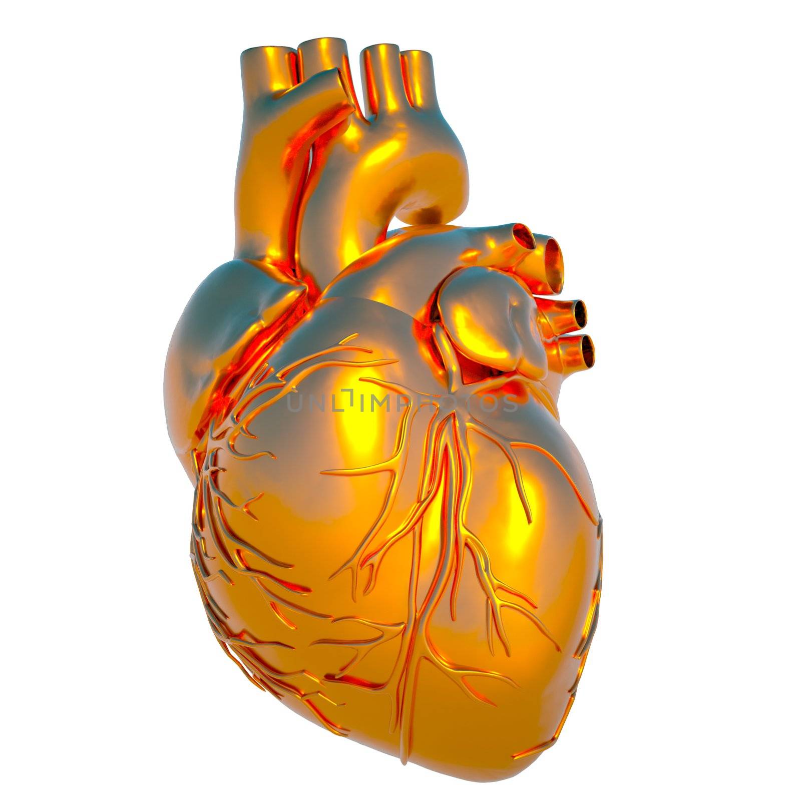 Model of human heart - heart of gold by andromeda13