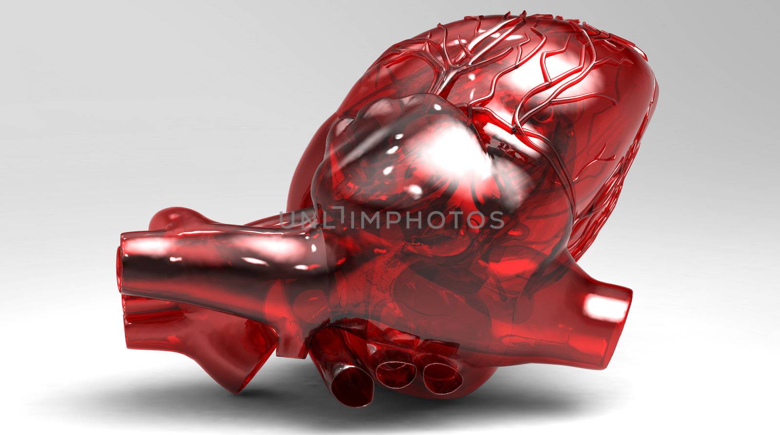 Model of artificial human heart by andromeda13