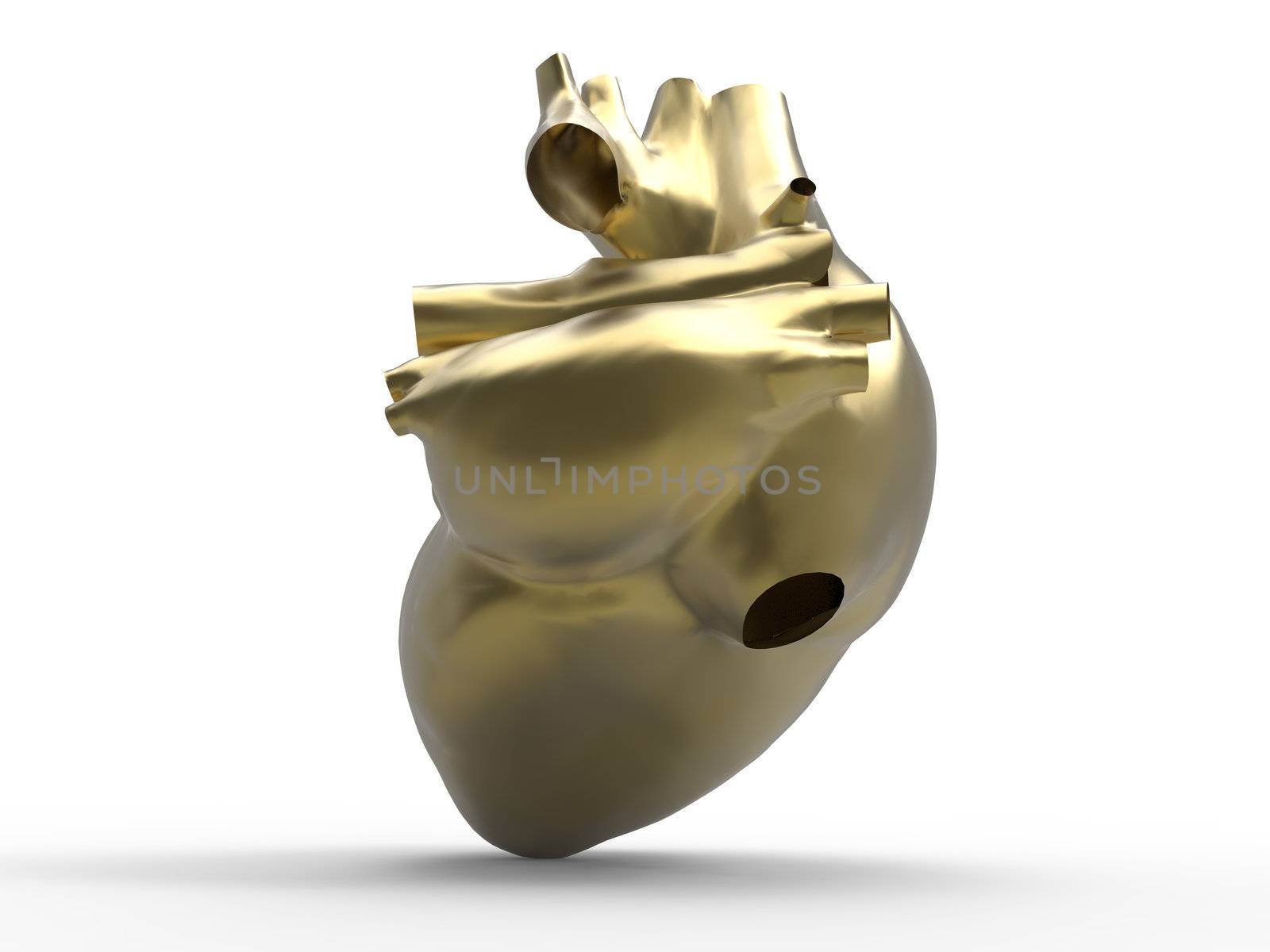Model of human heart - heart of gold