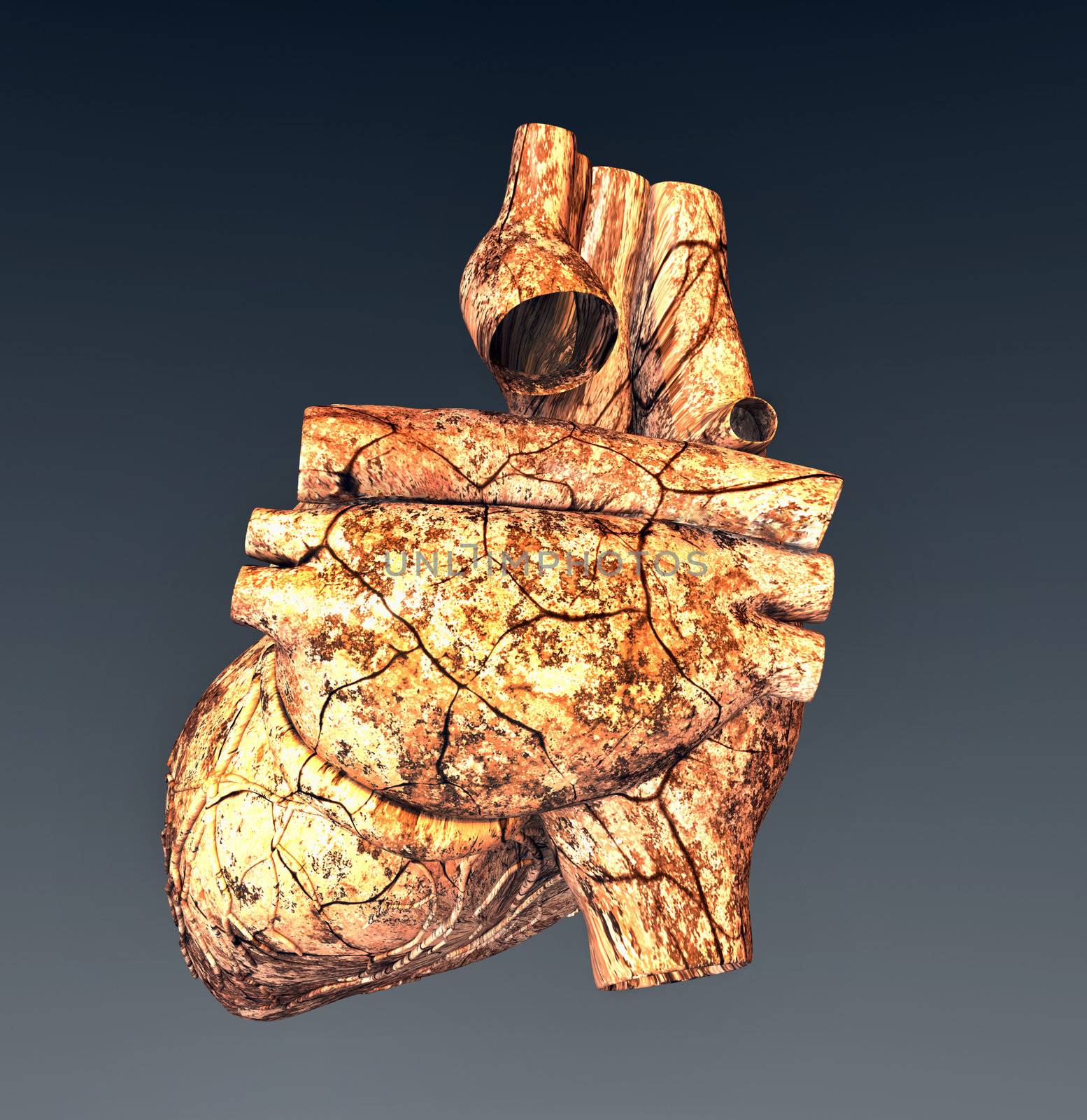 Model of ruined human heart