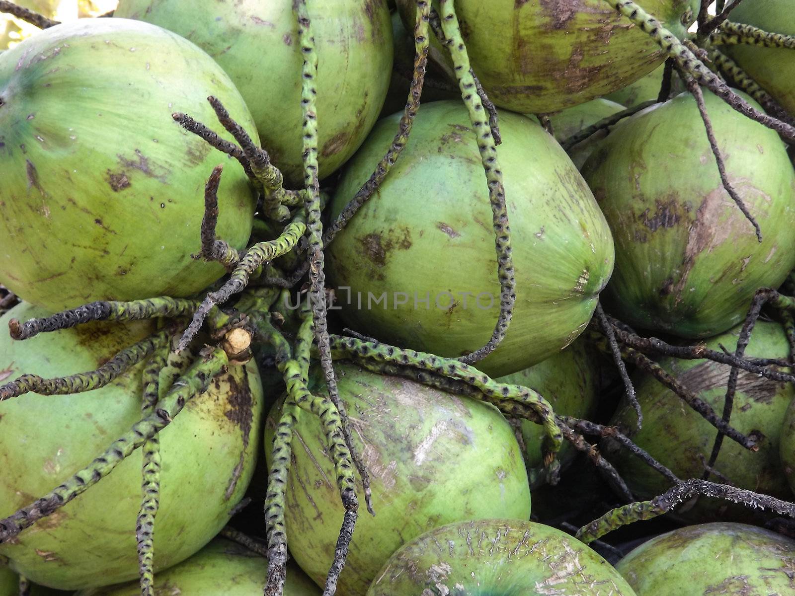 The fruit has a sweet taste. Thai cooking.