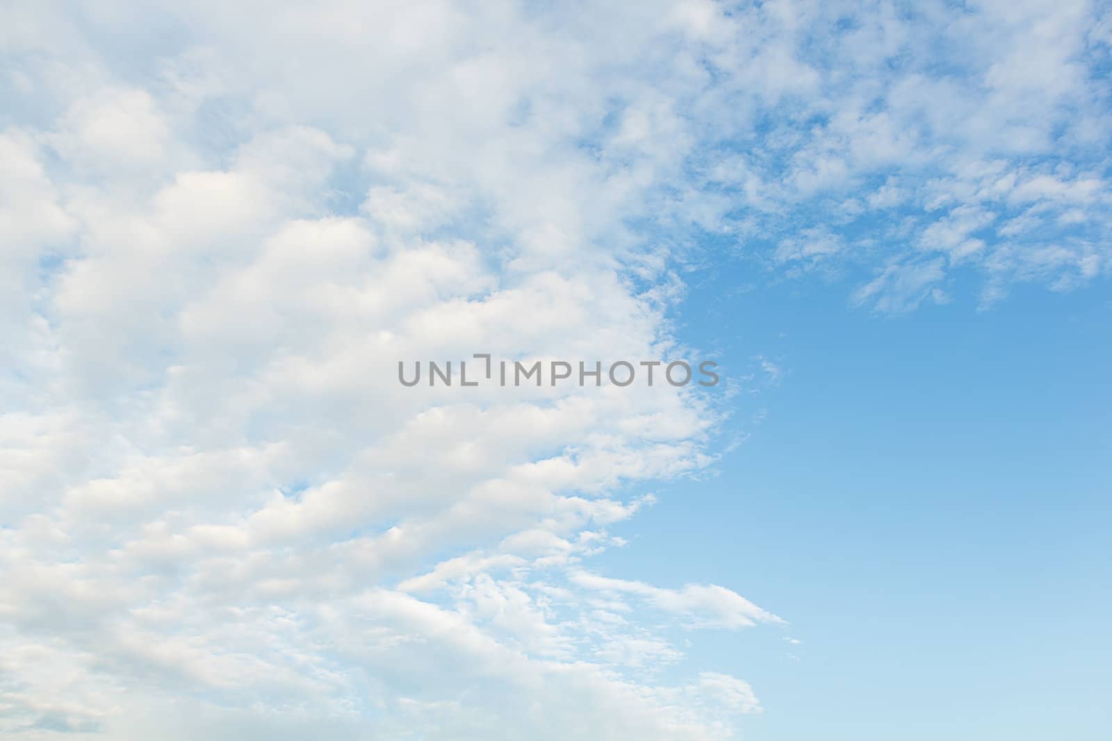 summer blue sky with many white clouds.