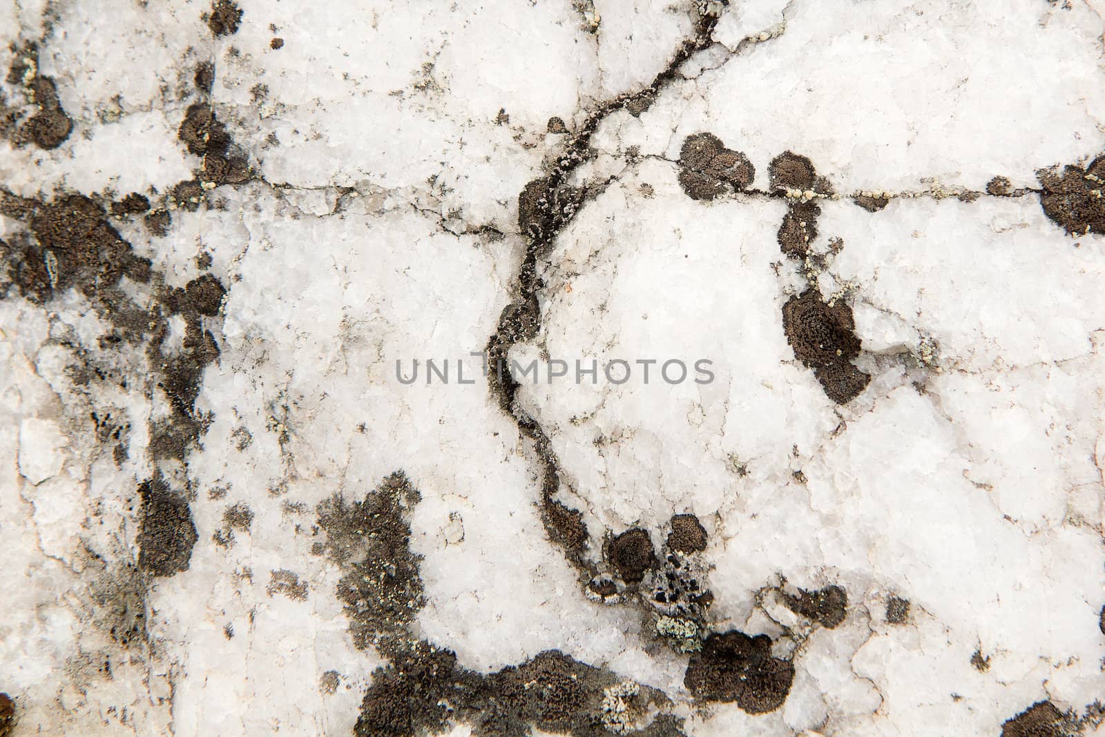 white quartz stone in nature. Natural texture