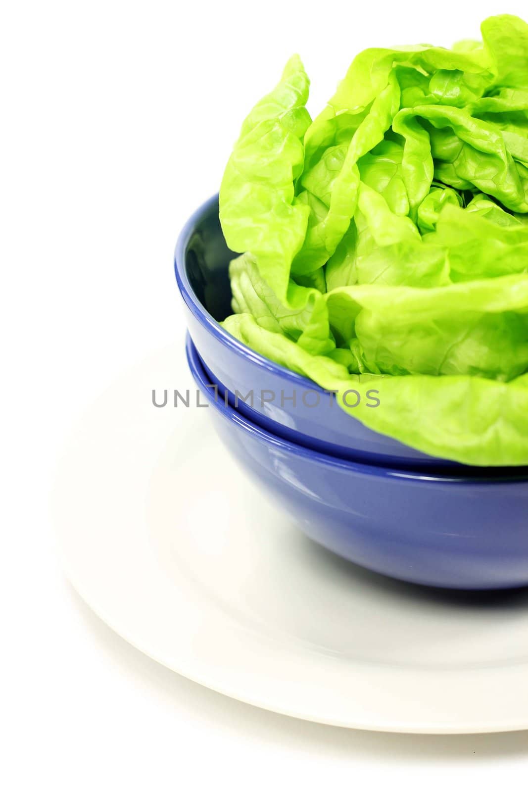 Closeup of green lettuce leaves in a blue bowl on a white background