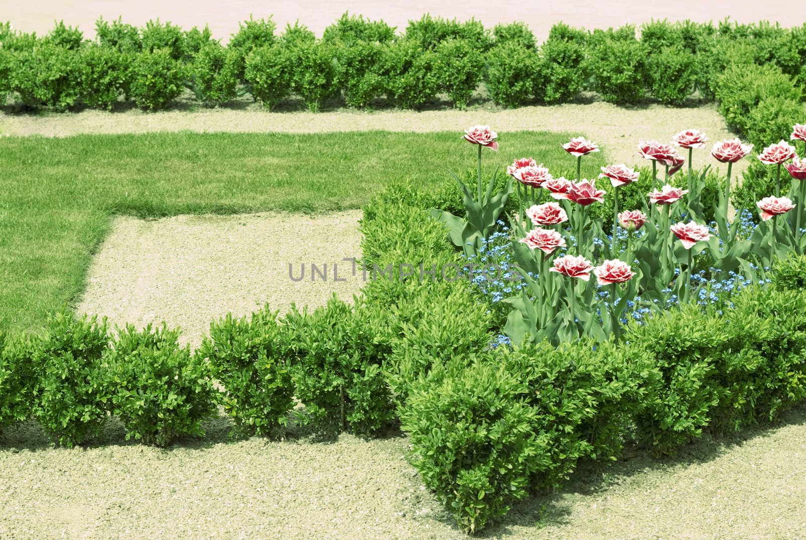 Geometrical bed with pink and blue flowers and grass 