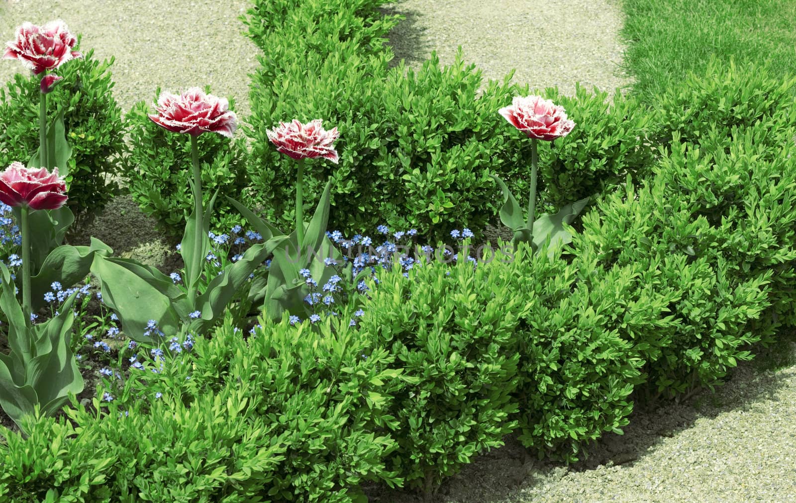 Geometrical bed with pink and blue flowers and grass 