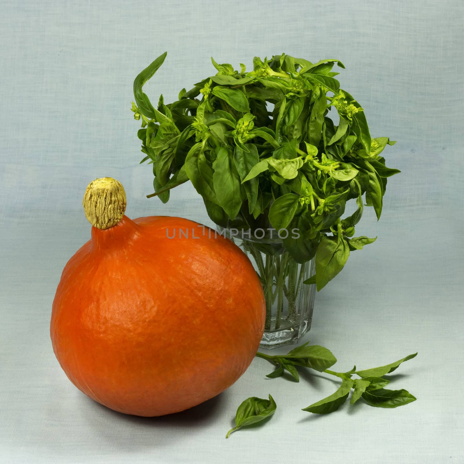 Still life of pumpkin, basil on a colorful fabric background