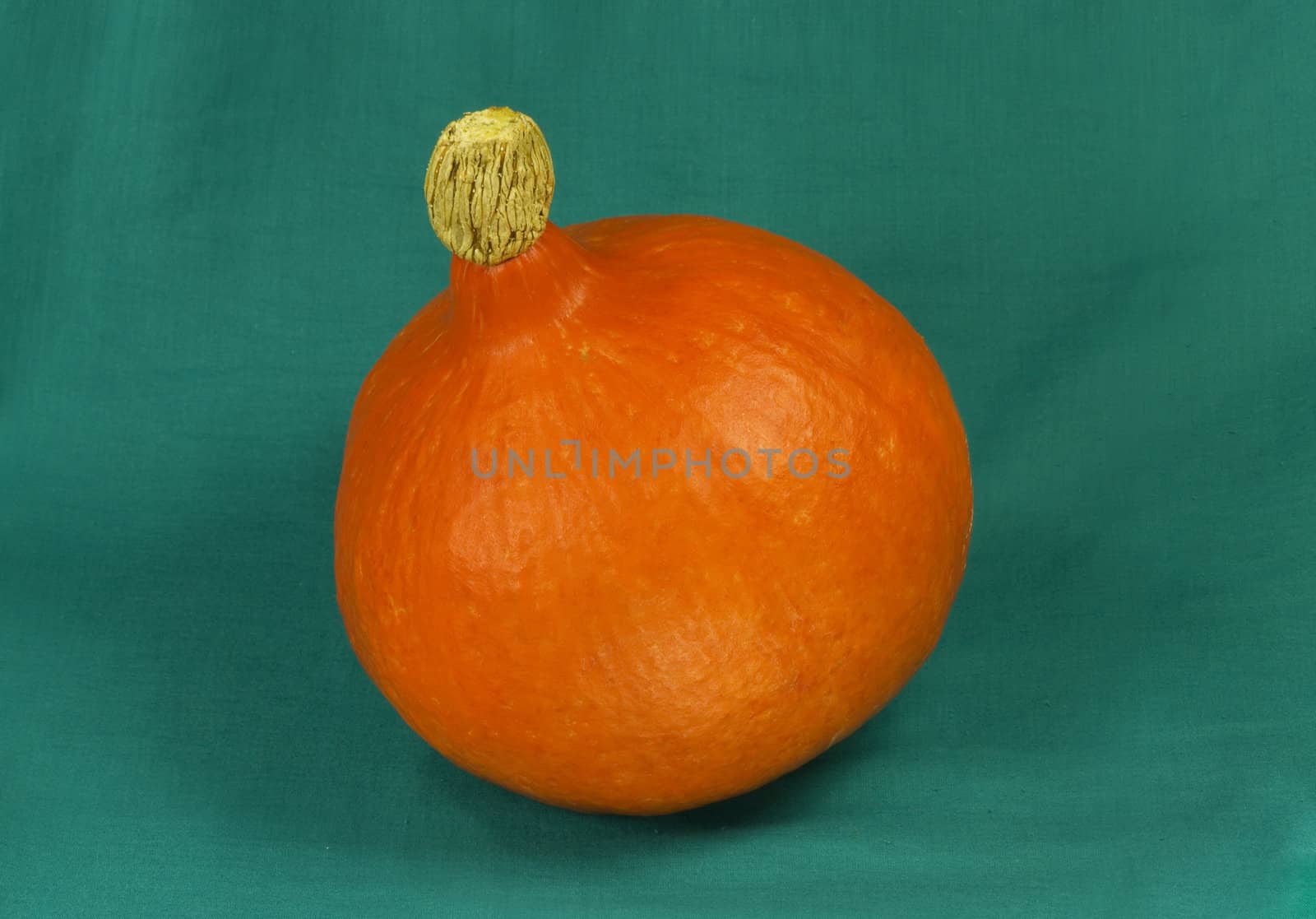 Still life of pumpkin on a green fabric background