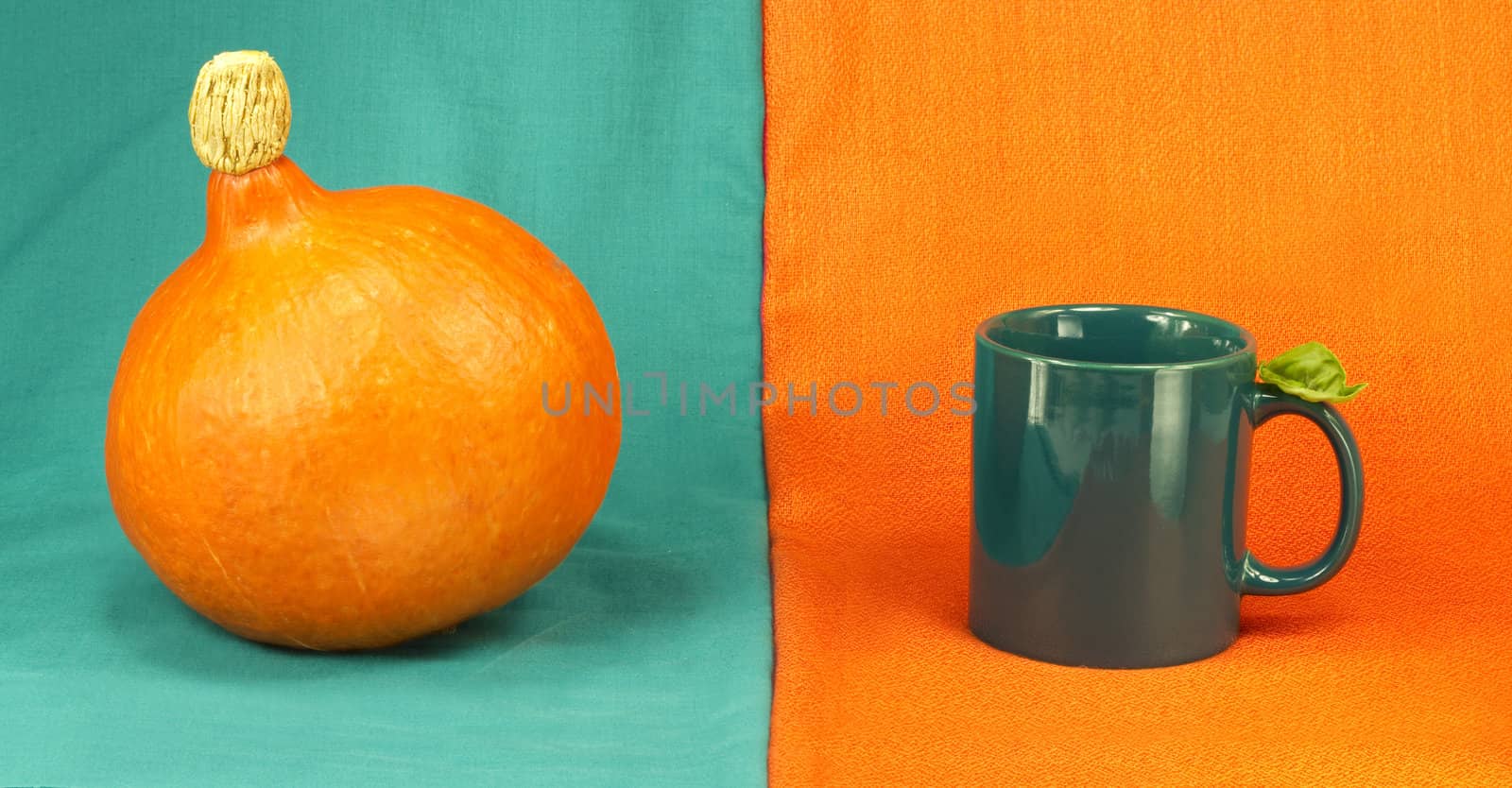 Still life of pumpkin and mug on a colorful background
