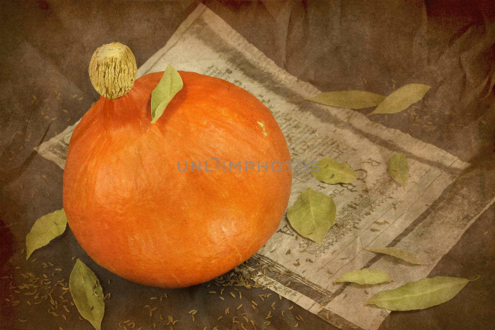 Still life of pumpkin, old paper and bay leafs on a paper background