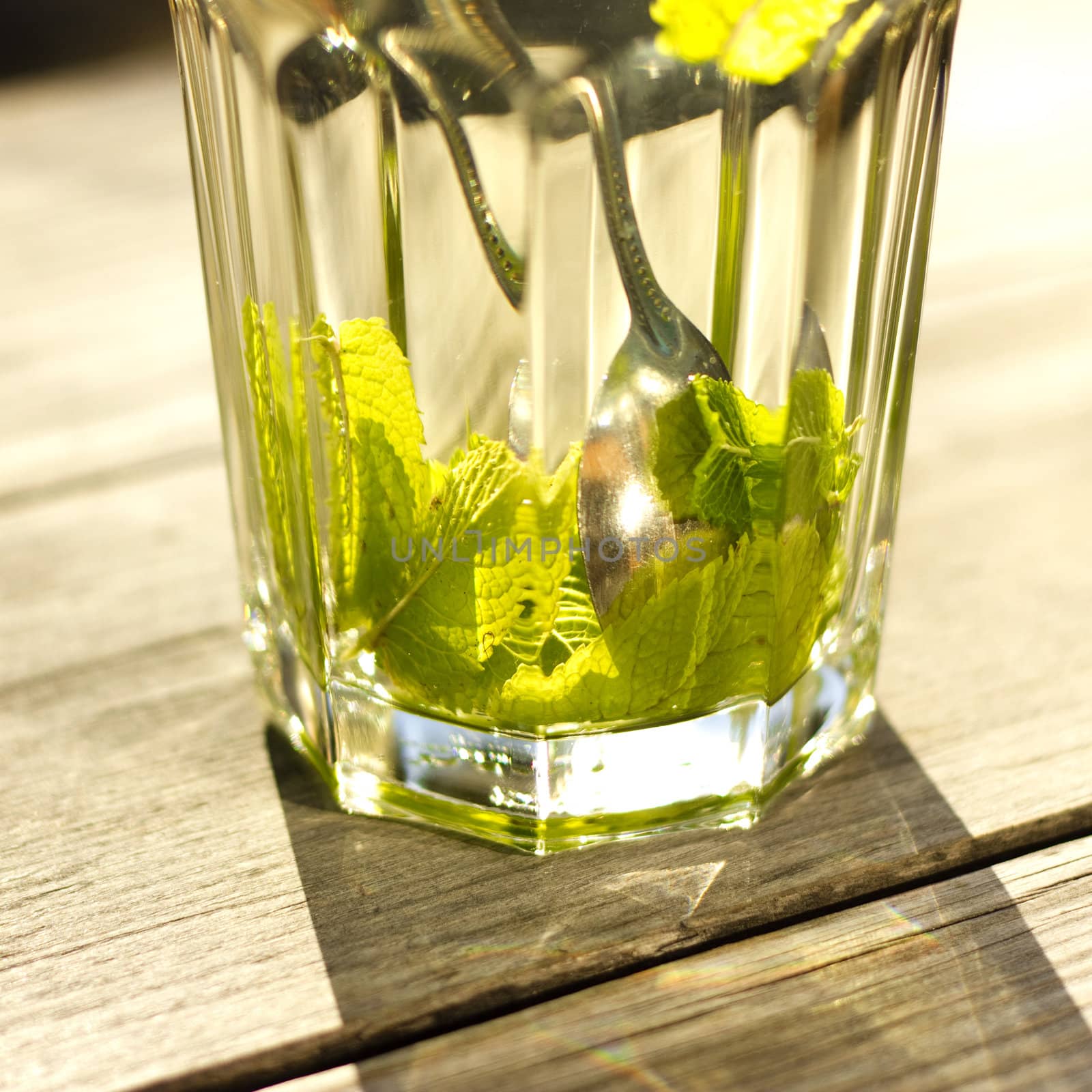 Close up of a glass of tea with a fresh peppermint by Kristina_Usoltseva